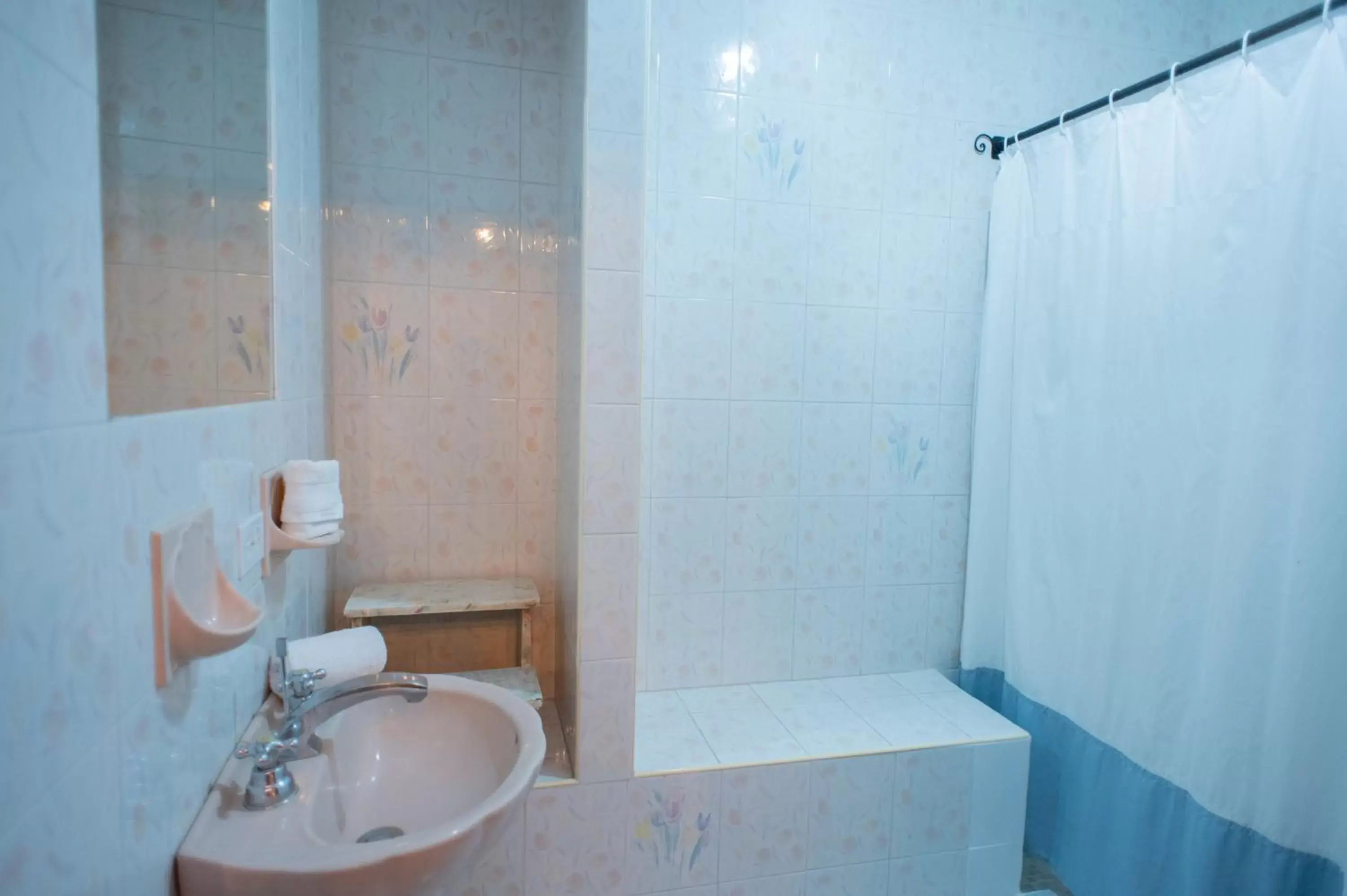 Bathroom in Posada San Miguelito