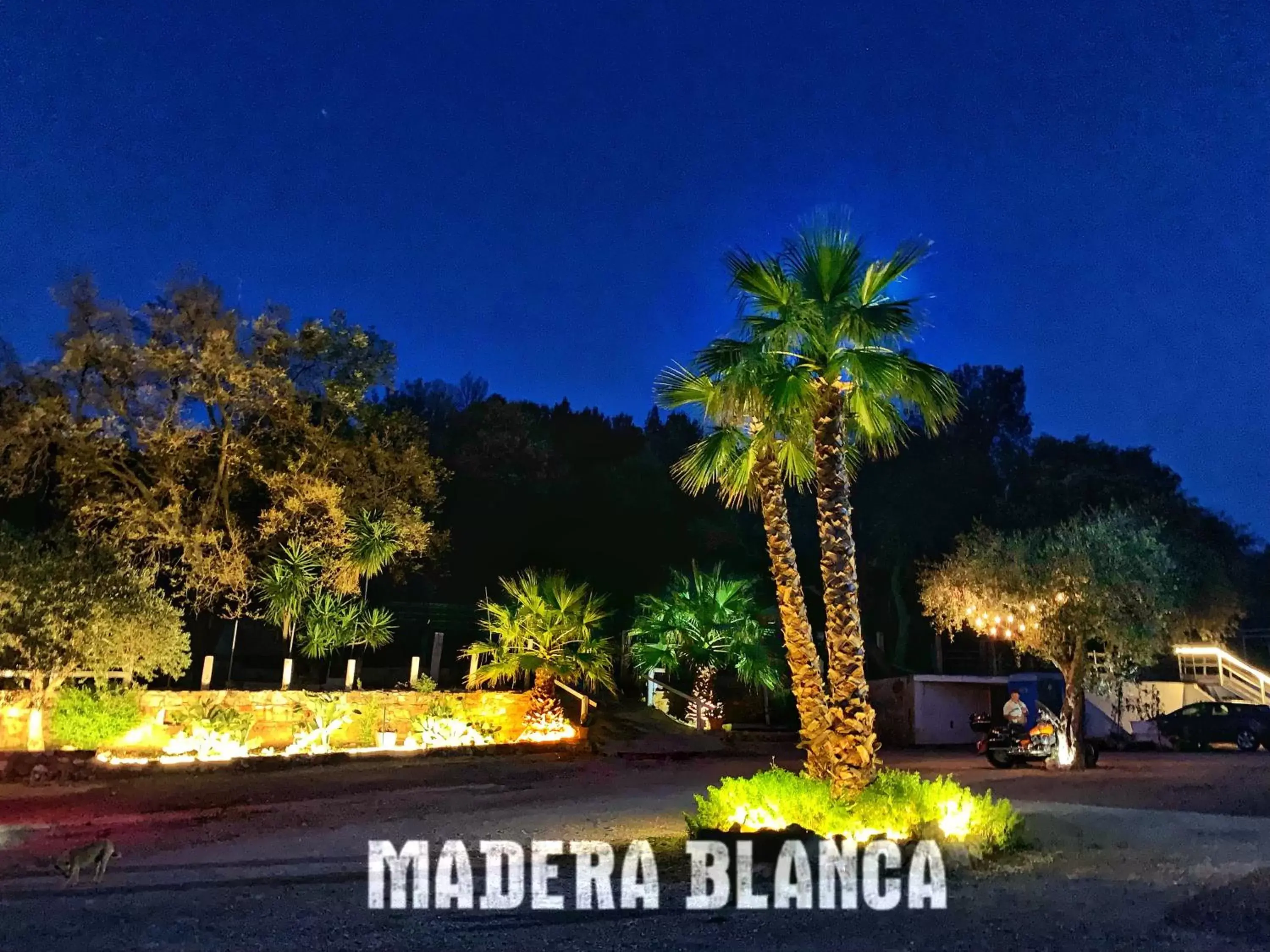 Property Building in Madera Blanca