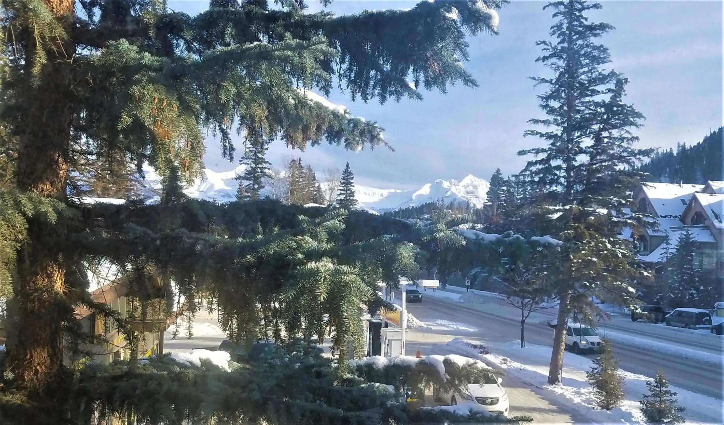 Neighbourhood in Samesun Banff Hostel