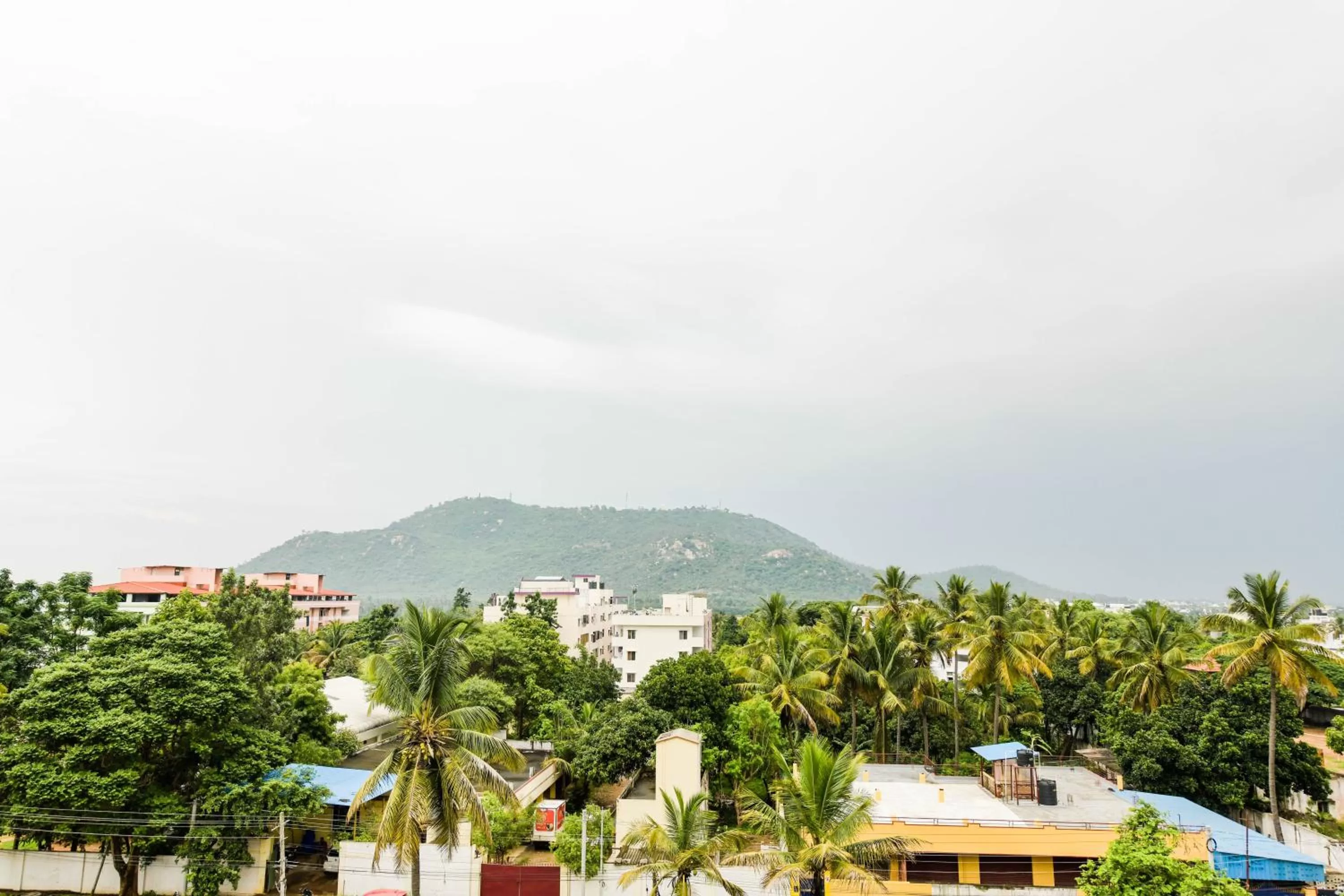 Natural landscape in SAFARI QUEST