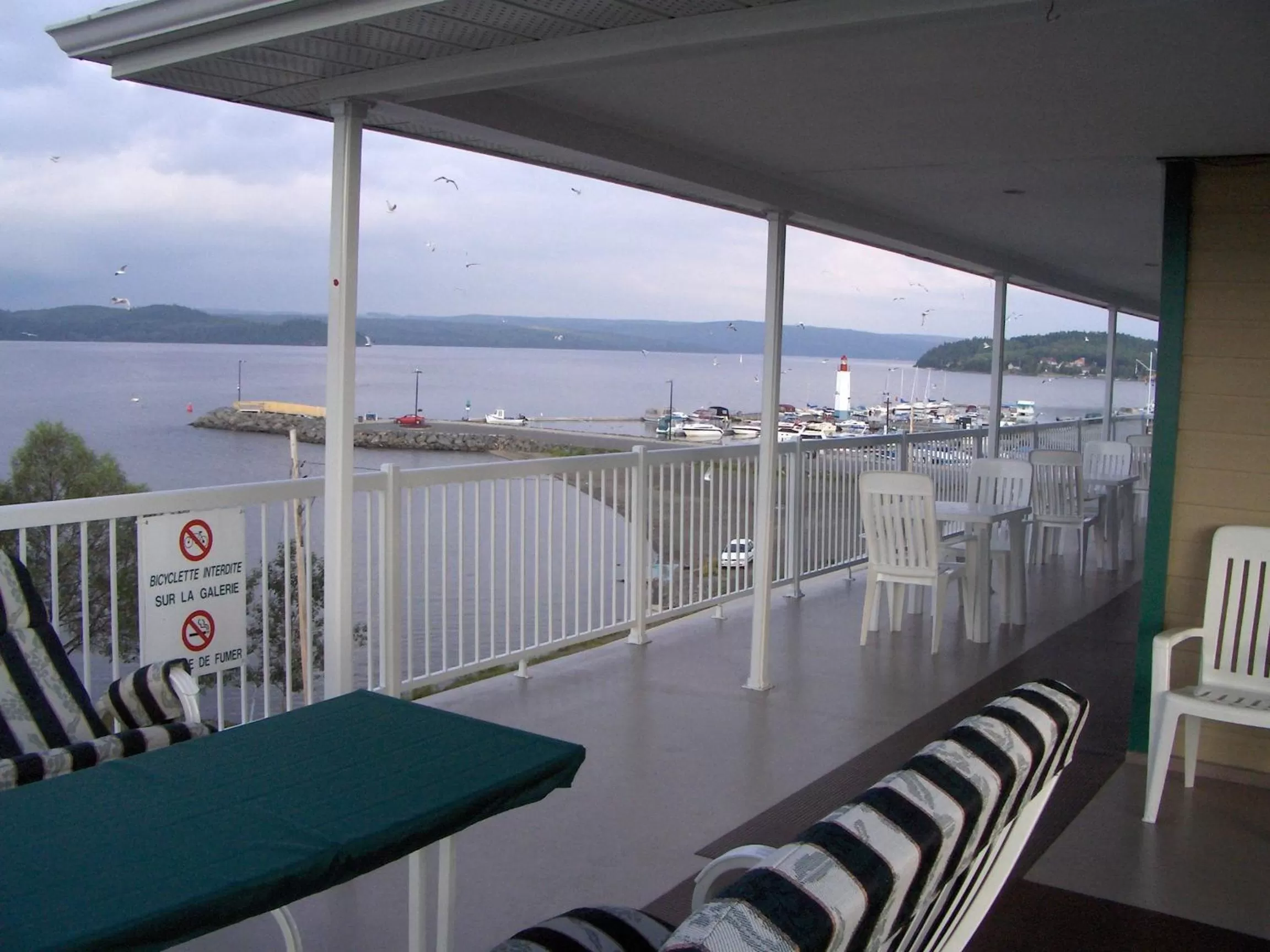 View (from property/room) in Motel Royal