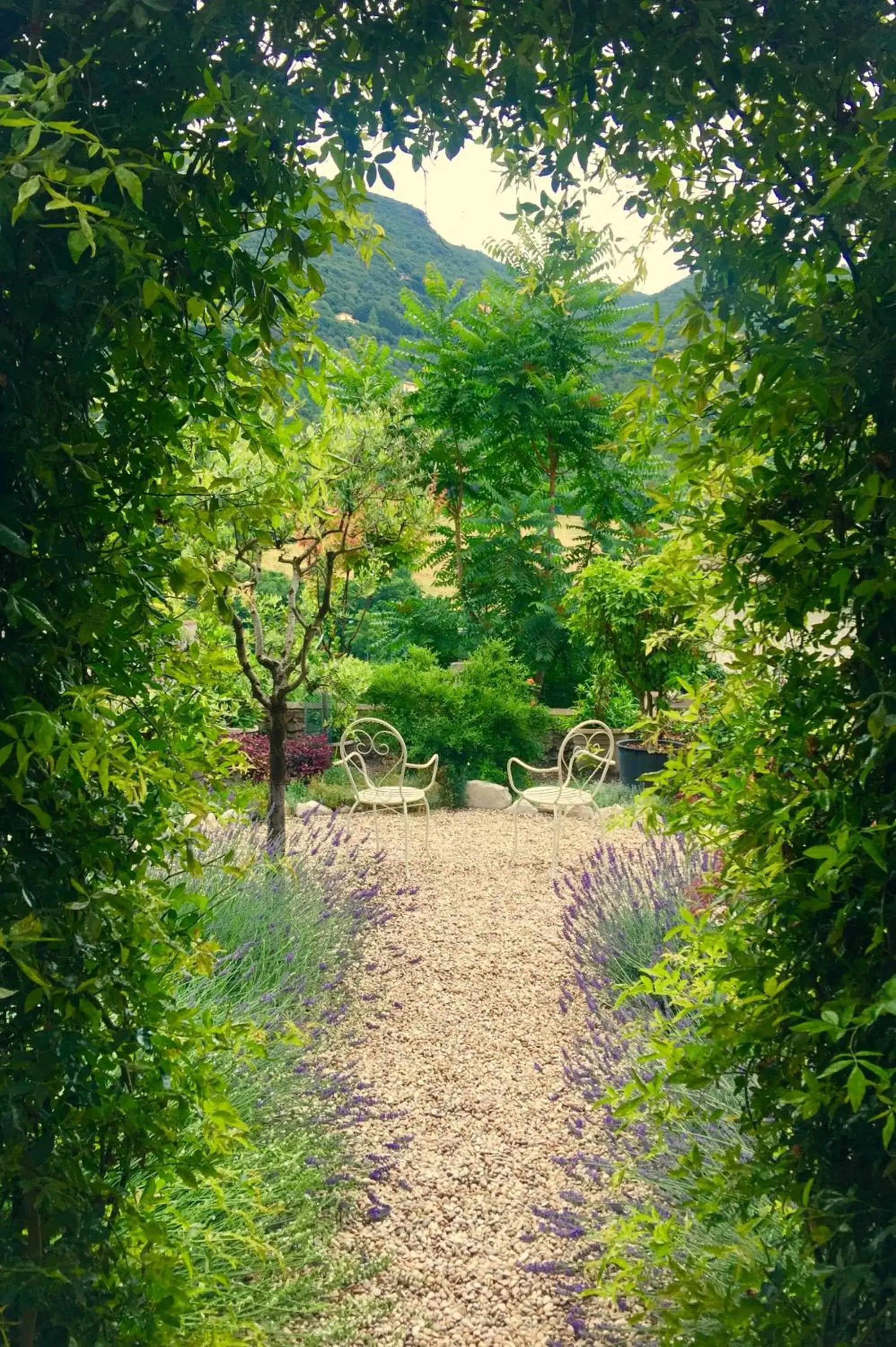 Garden in Palazzo Sant'Angelo