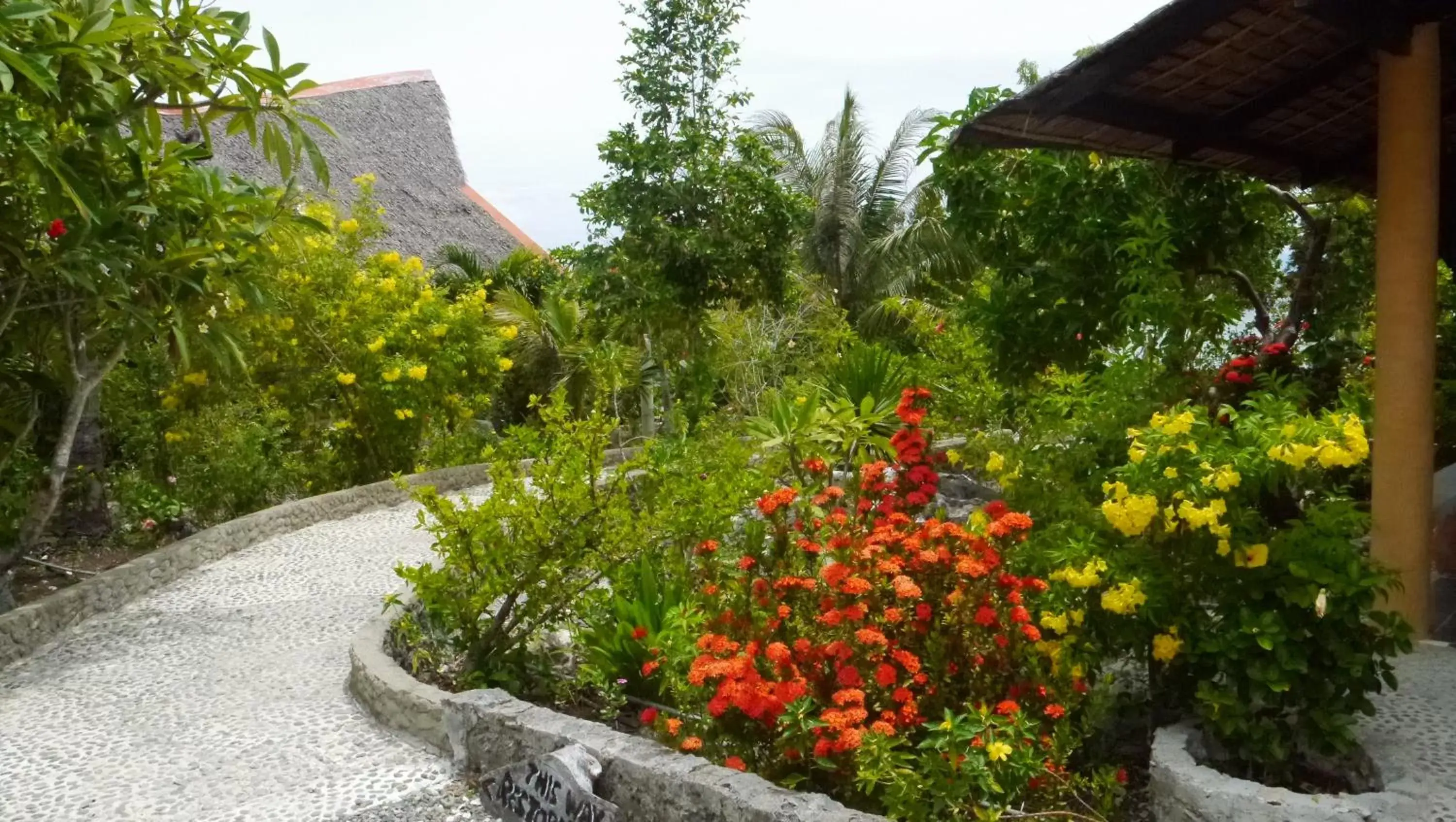 Garden in Moalboal T Breeze Coastal Resort