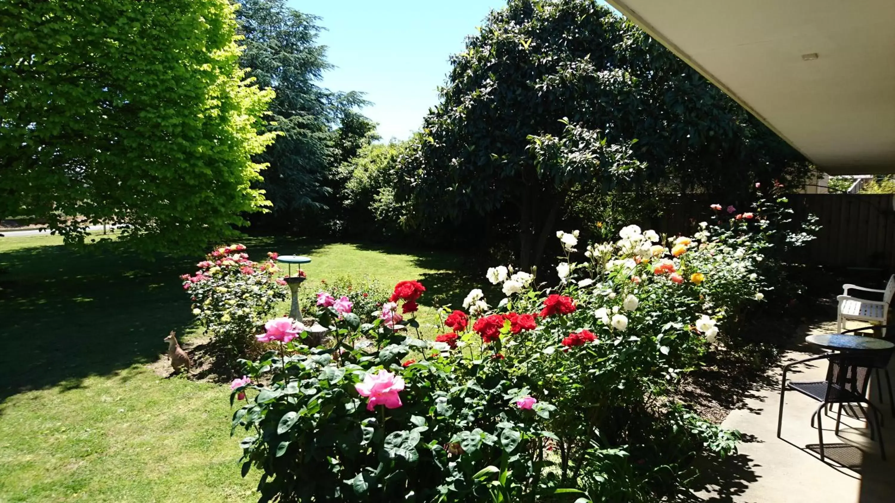 Garden in Opal Motel