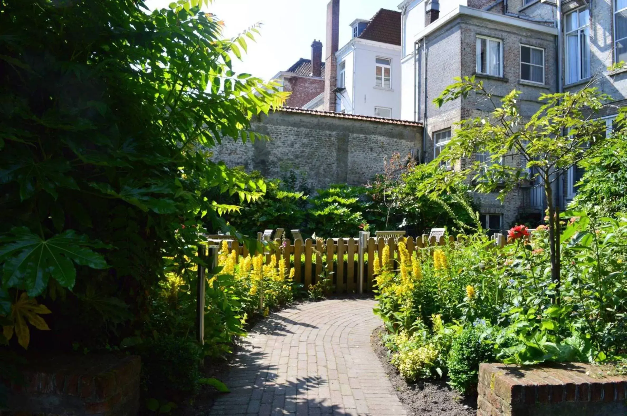 Garden, Property Building in Hotel Patritius