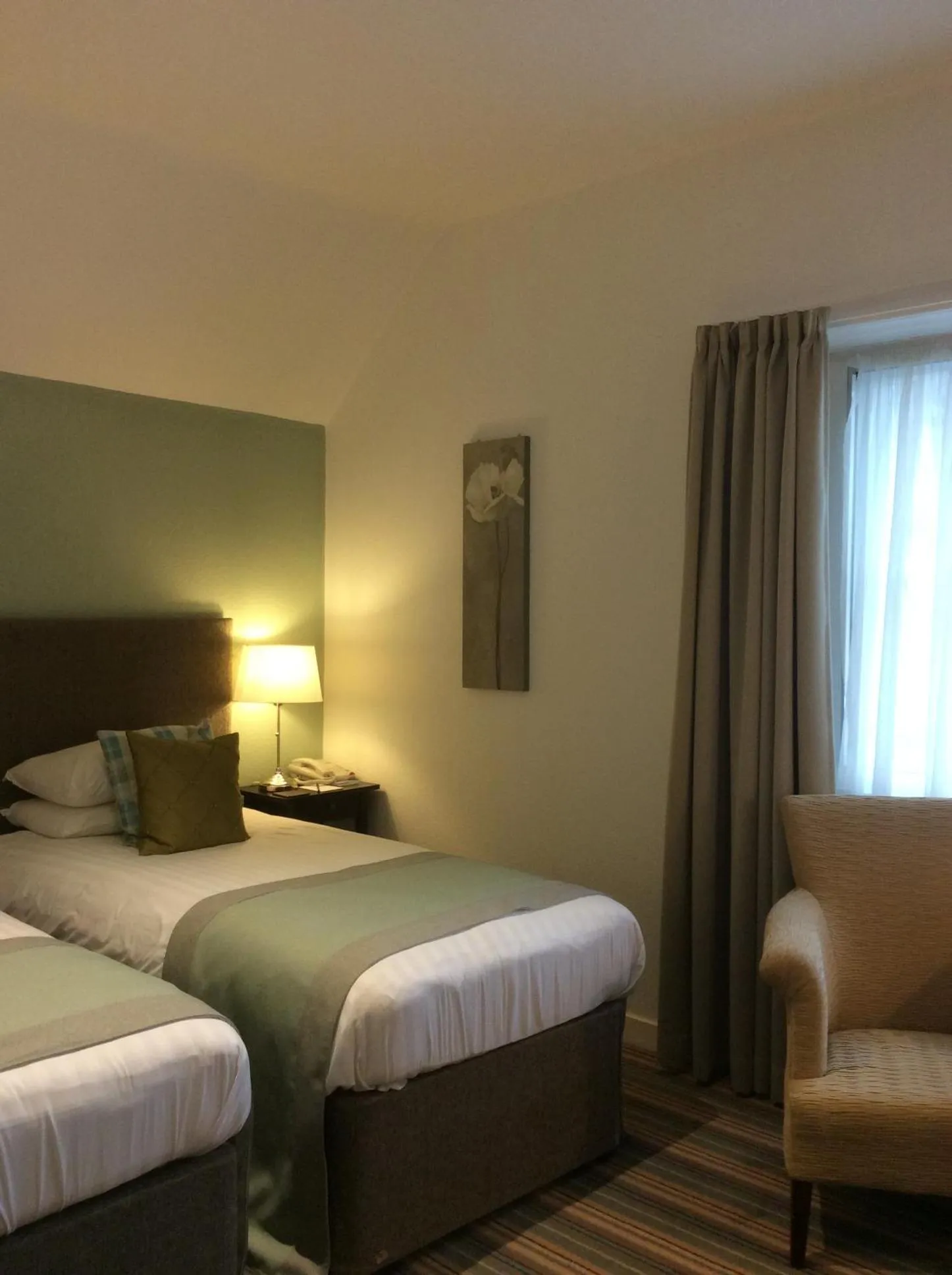 Standard Twin Room in Eskdale Hotel