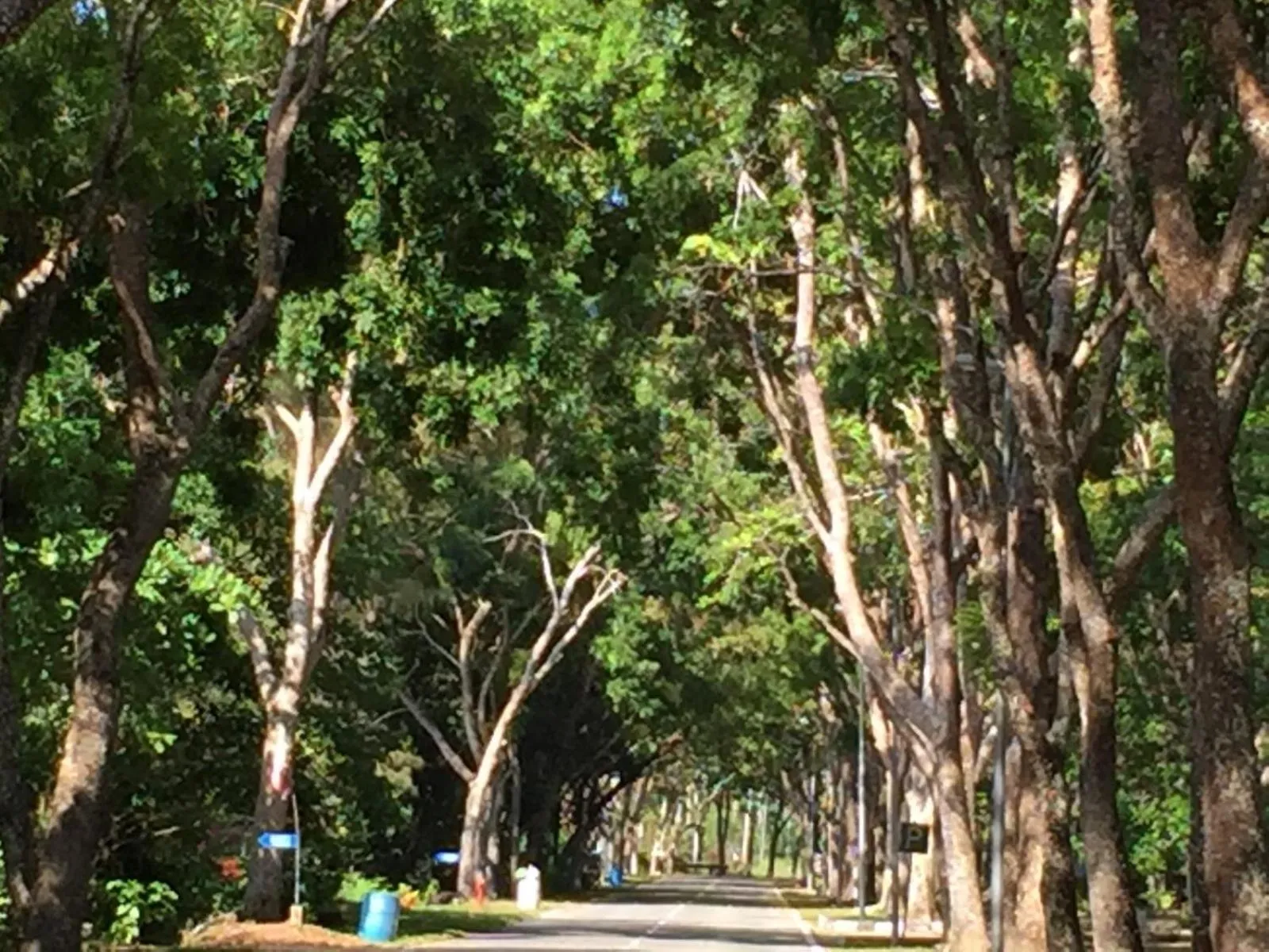 Nearby landmark in Palm Beach Resort & SPA