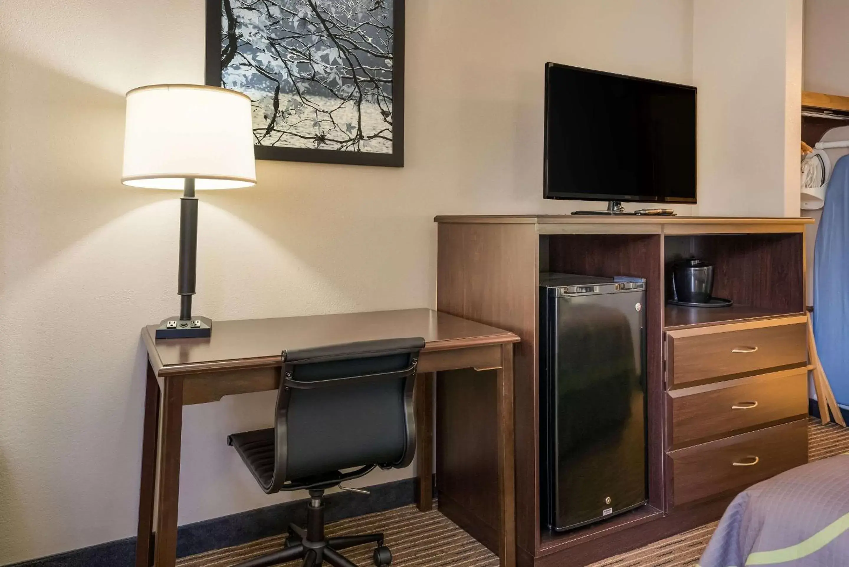 TV and multimedia, TV/Entertainment Center in Rodeway Inn