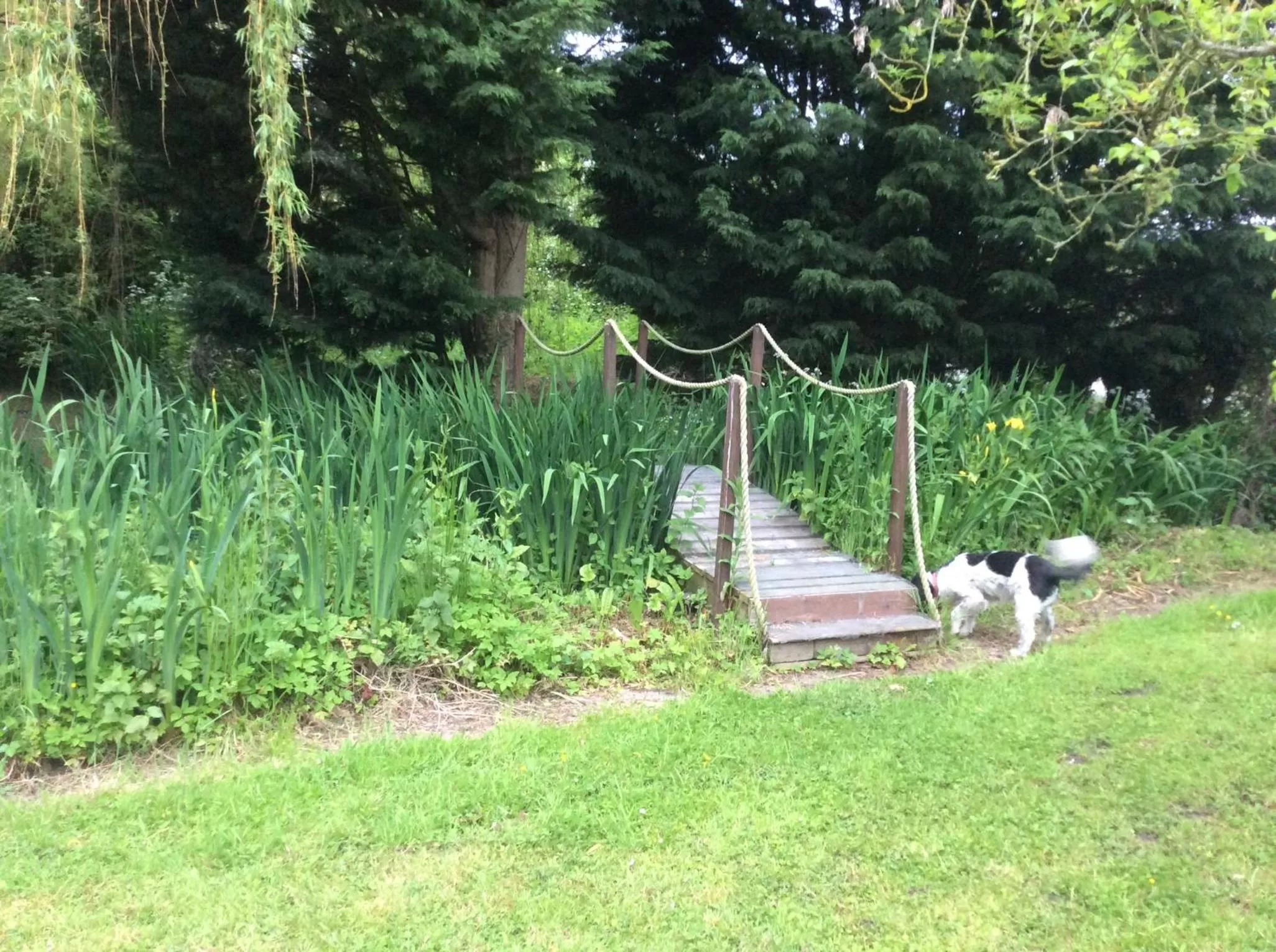 Garden in Valley Farmhouse B&B