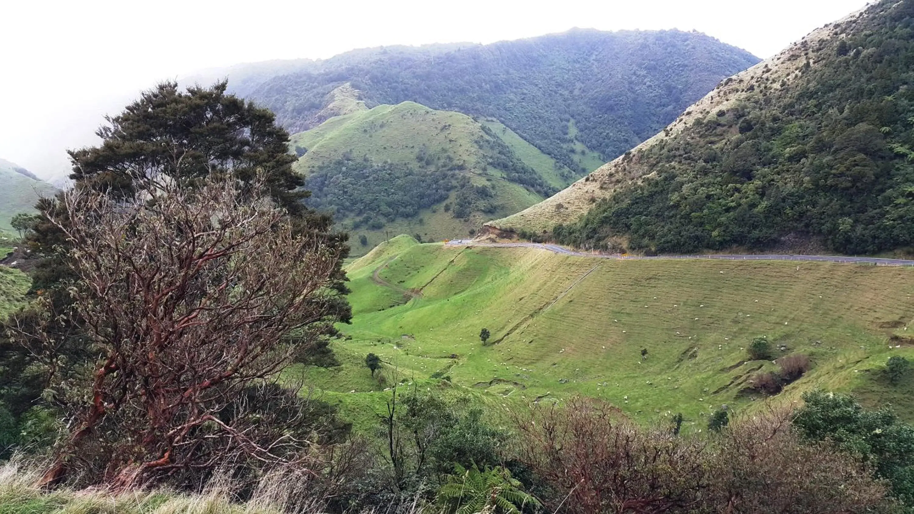 Off site, Natural Landscape in Bella Vista Gisborne