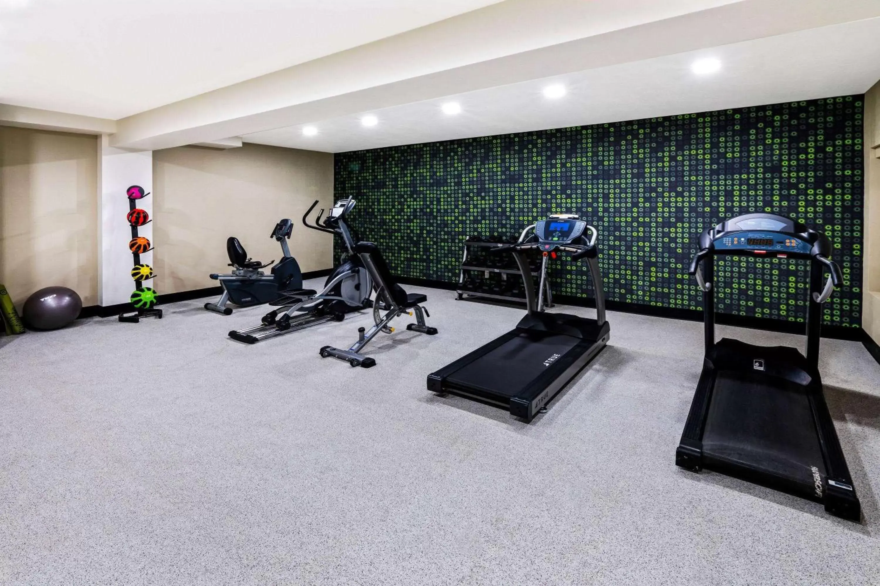 Fitness centre/facilities, Fitness Center/Facilities in La Quinta by Wyndham Fruita