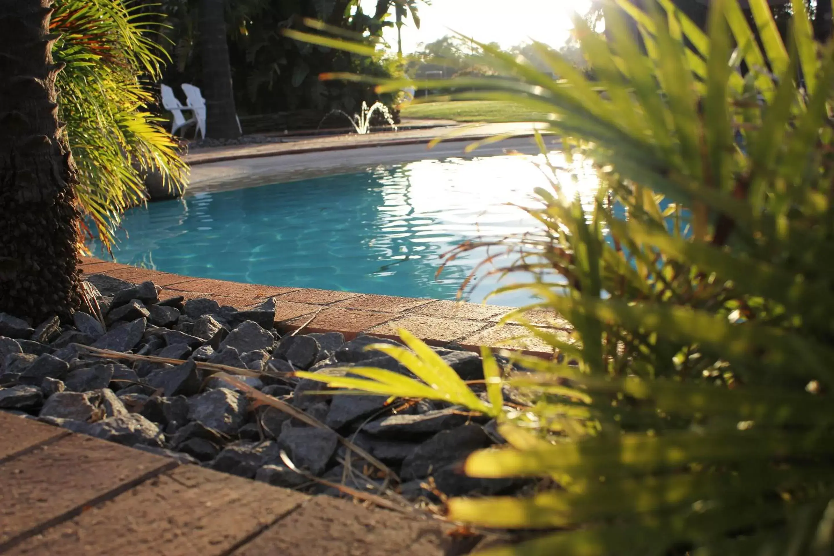 Garden, Swimming Pool in Swan Hill Resort