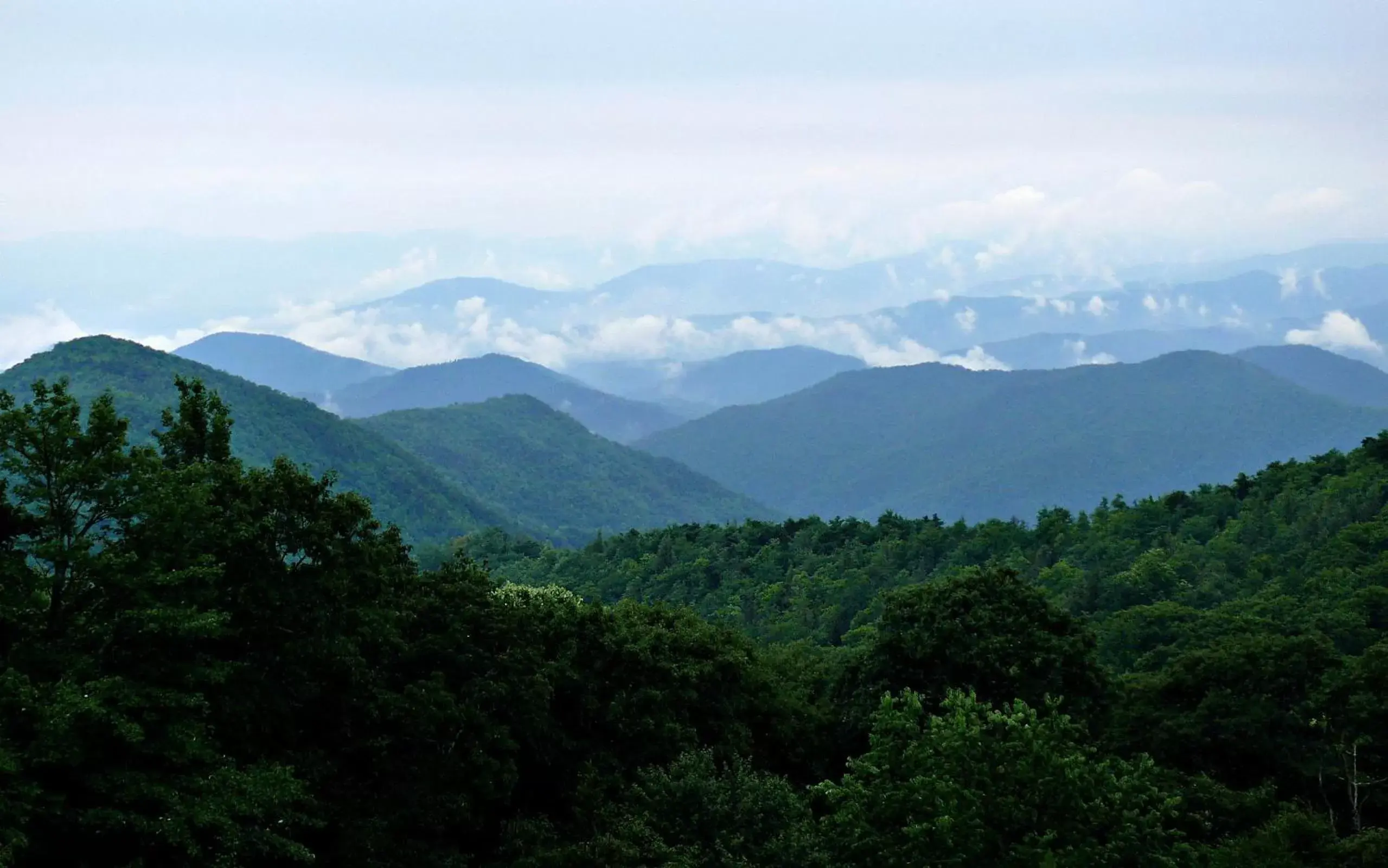 Area and facilities, Mountain View in Meadowbrook Inn