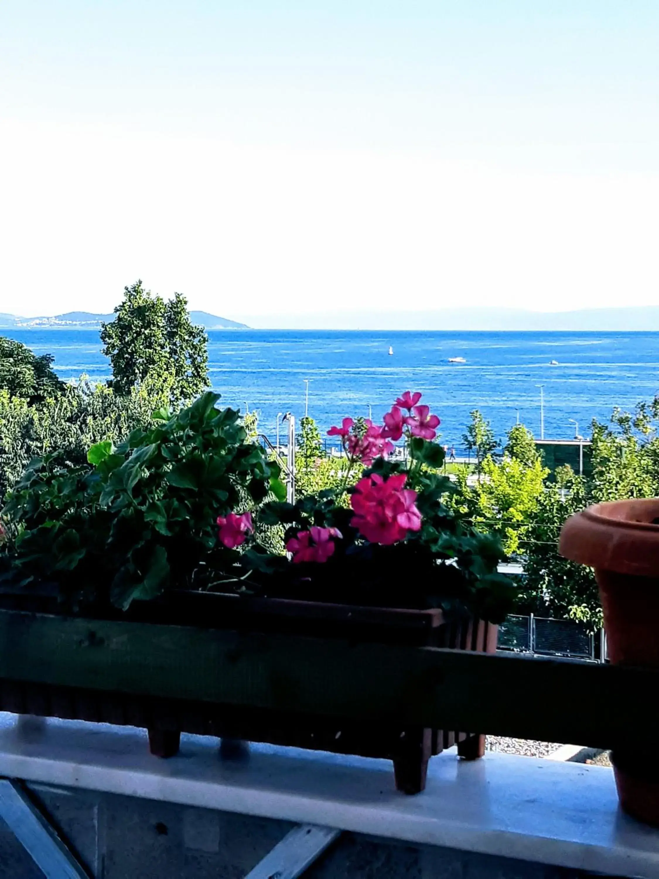 Balcony/Terrace, Sea View in Walnut Shell Hotel Sultanahmet