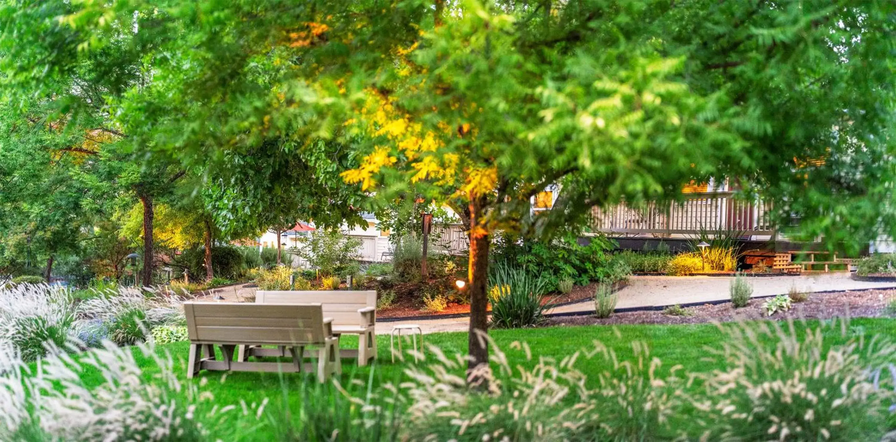 Natural landscape, Swimming Pool in Aurora Park Cottages