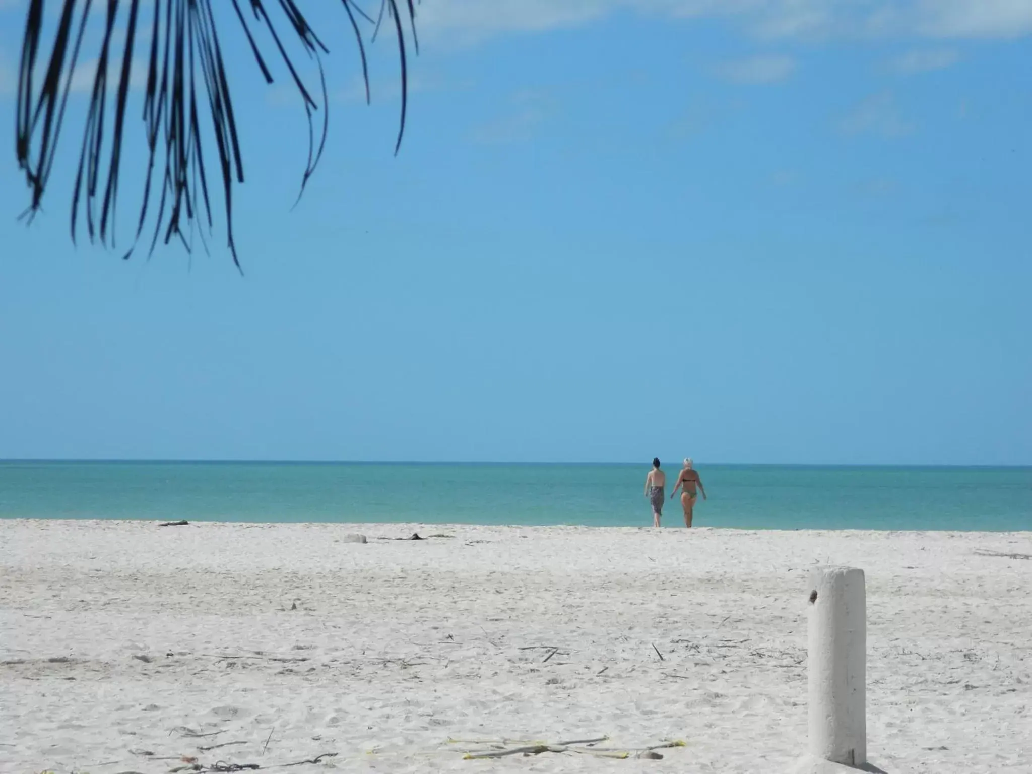 Beach in Cabañas Camping Ria Celestun