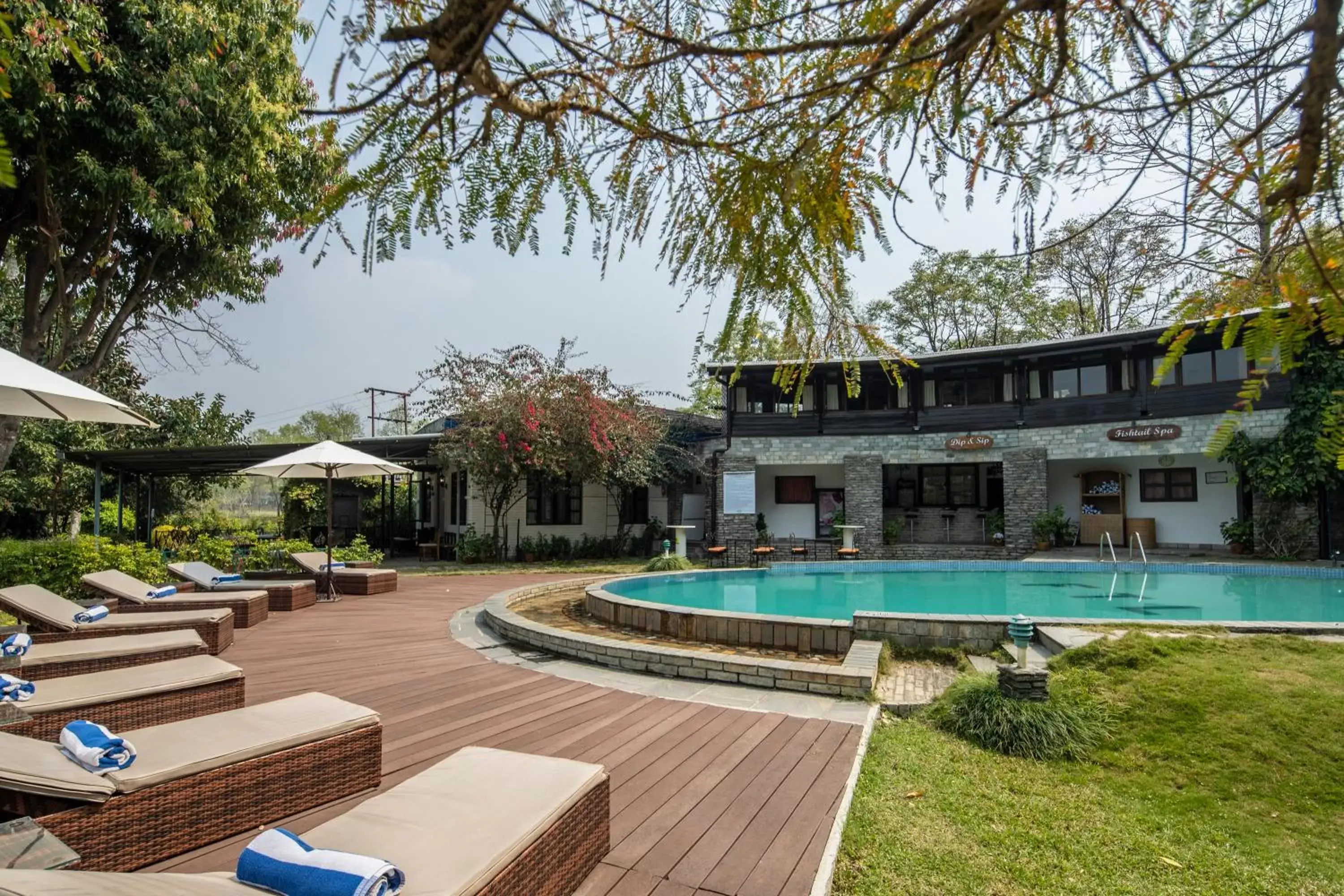 Swimming Pool in Fish Tail Lodge