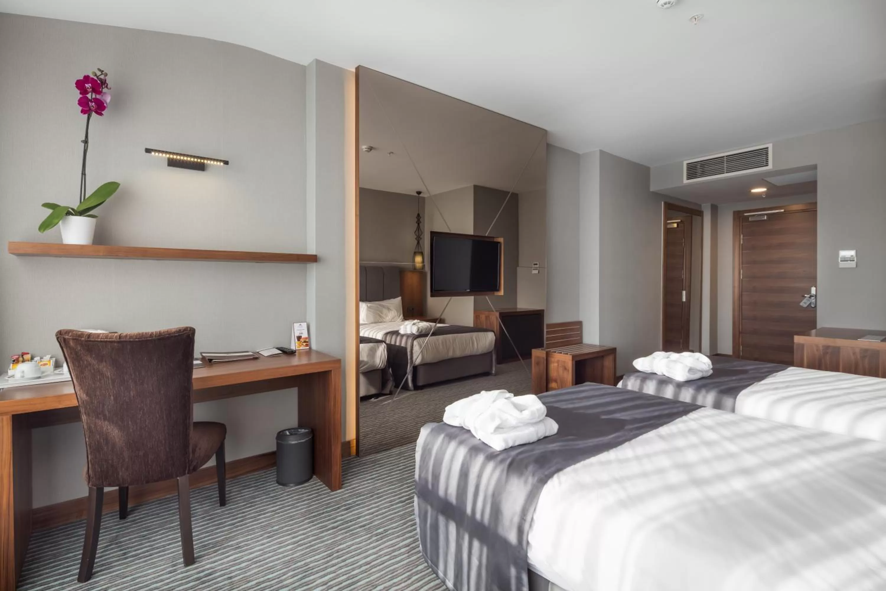 City view, Bed in Volley Hotel Istanbul