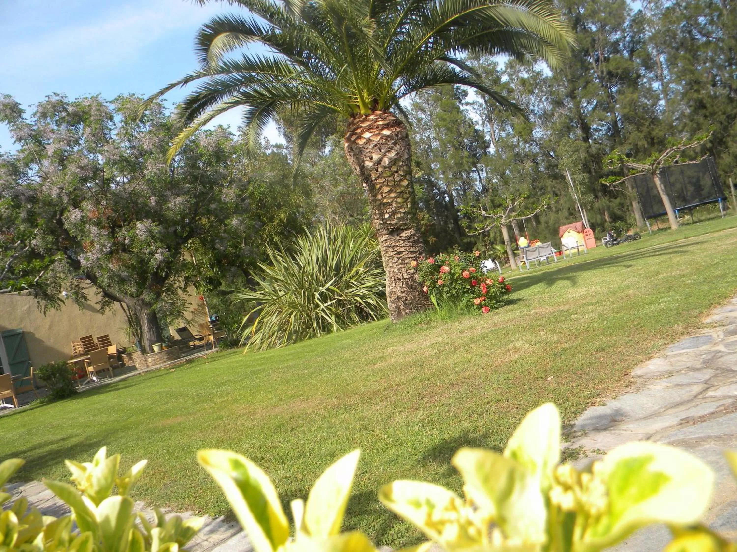 Garden in Auberge les Oliviers