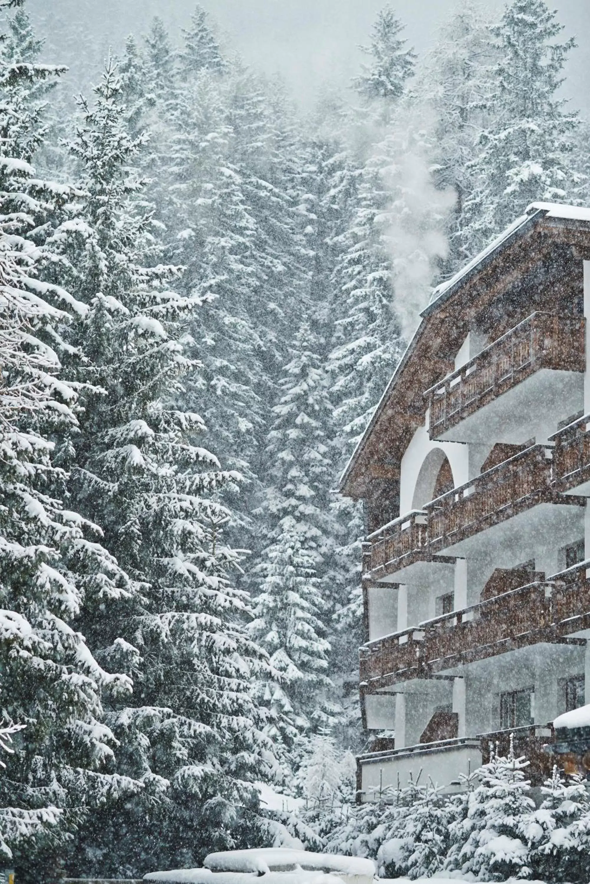 Property building, Winter in Hotel Waldhuus