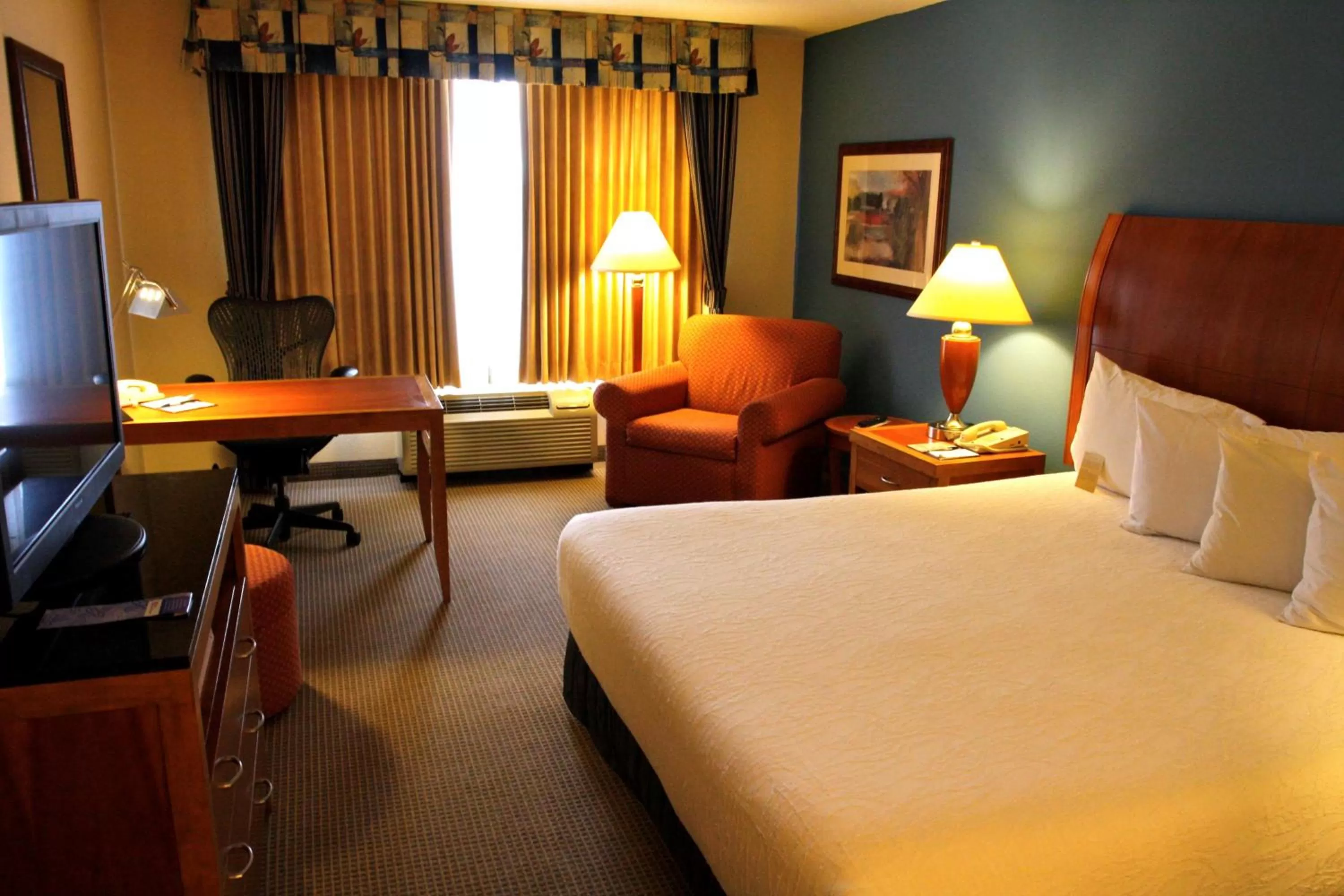 Premium King Room in Hilton Garden Inn Albany