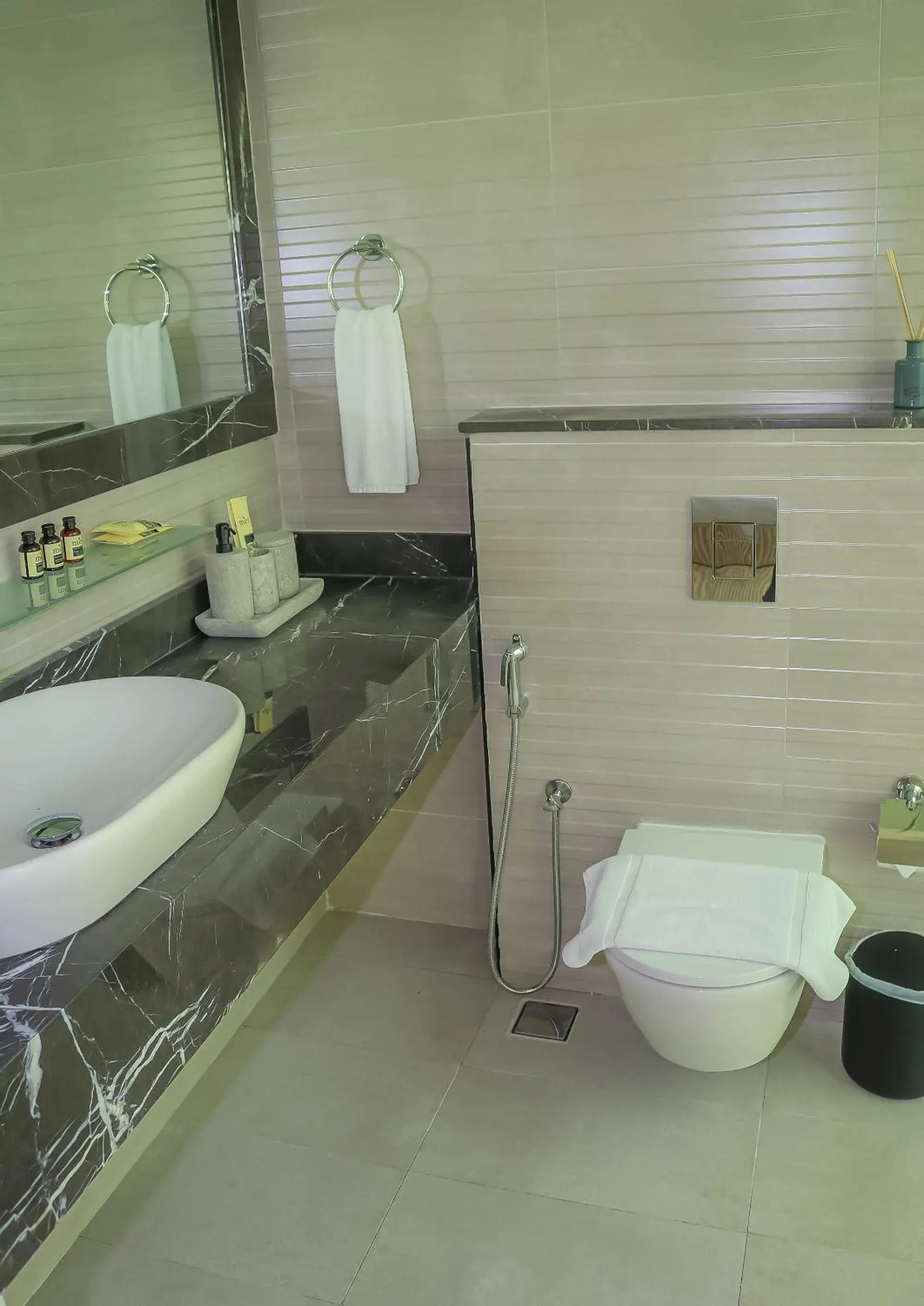 Toilet, Bathroom in Lagoona Beach Luxury Resort And Spa