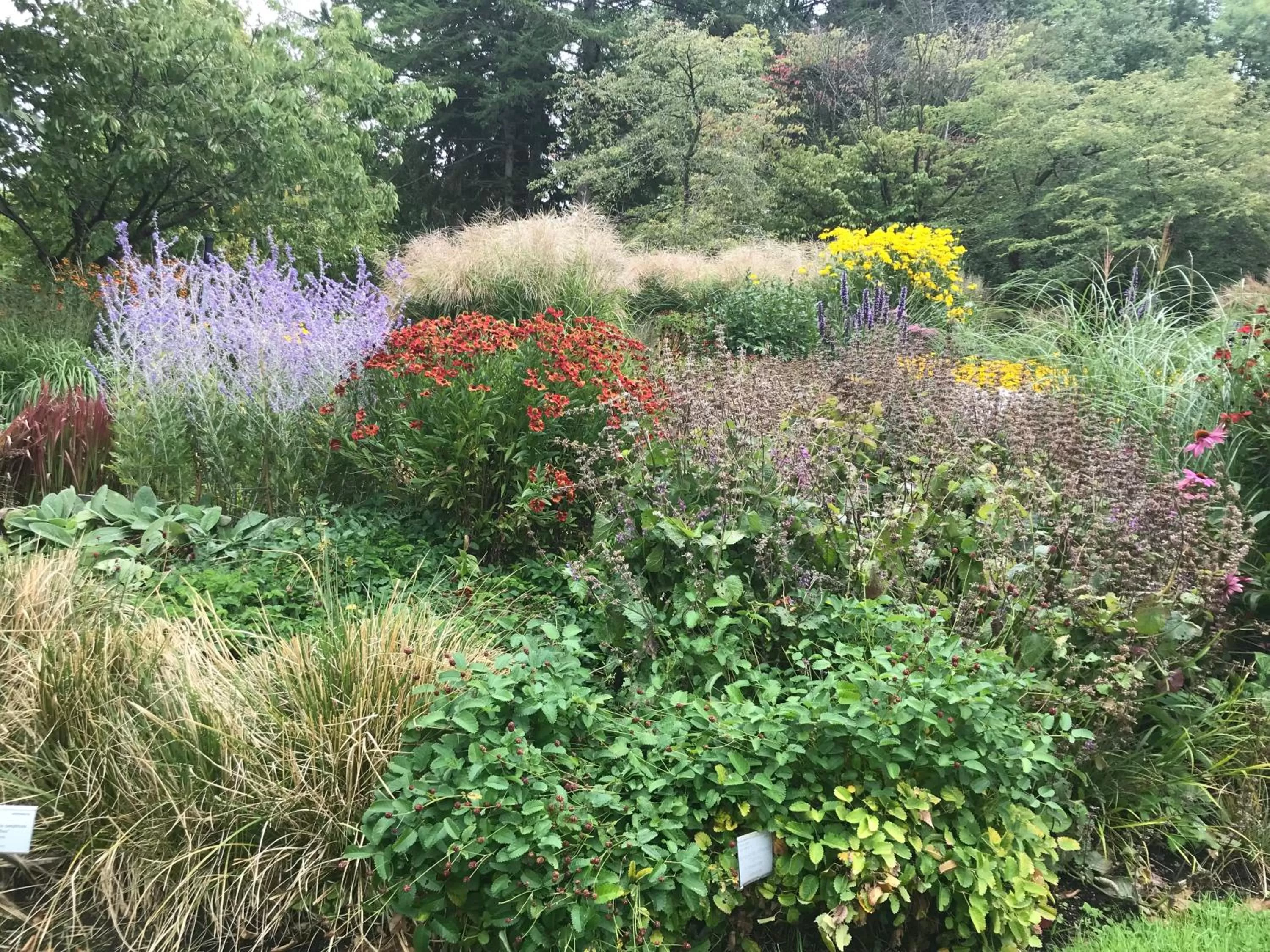 Neighbourhood in Ewa & Maude Hotel