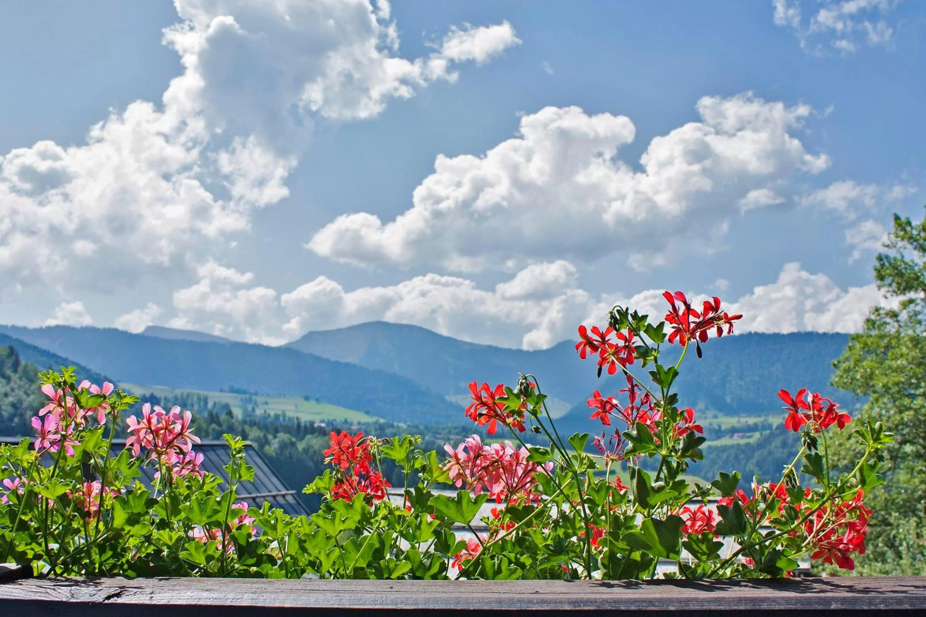 Mountain view in Hotel Bayerischer Hof