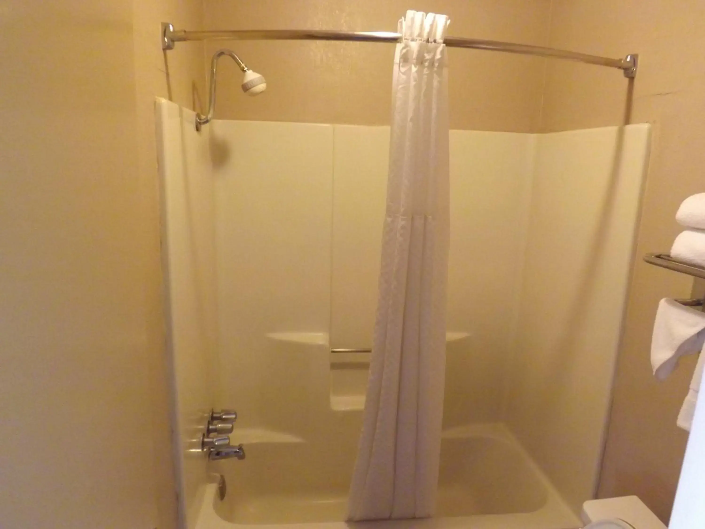 Shower, Bathroom in Executive Inn Kilgore