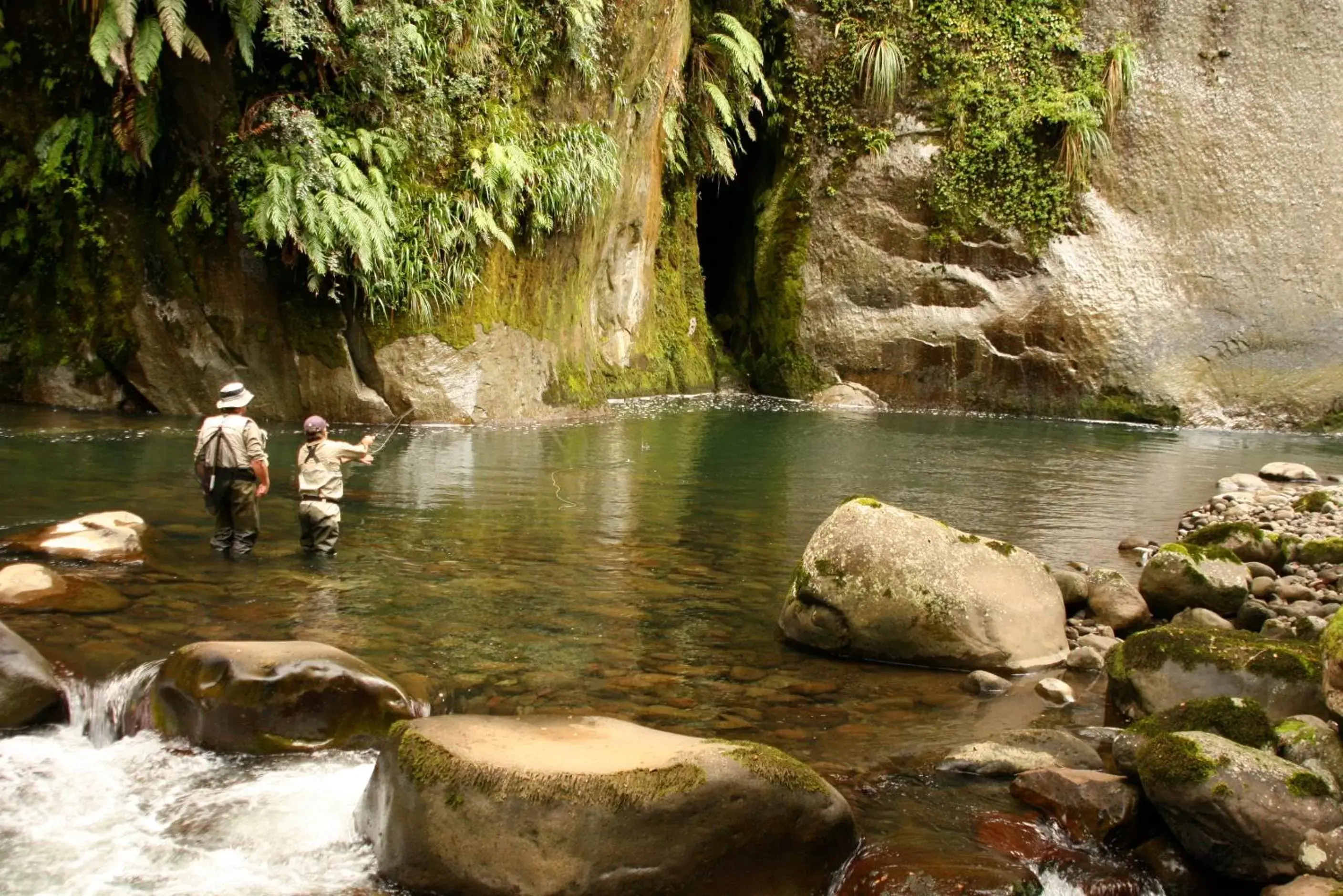 Fishing, Other Animals in Judges Pool Motel Turangi