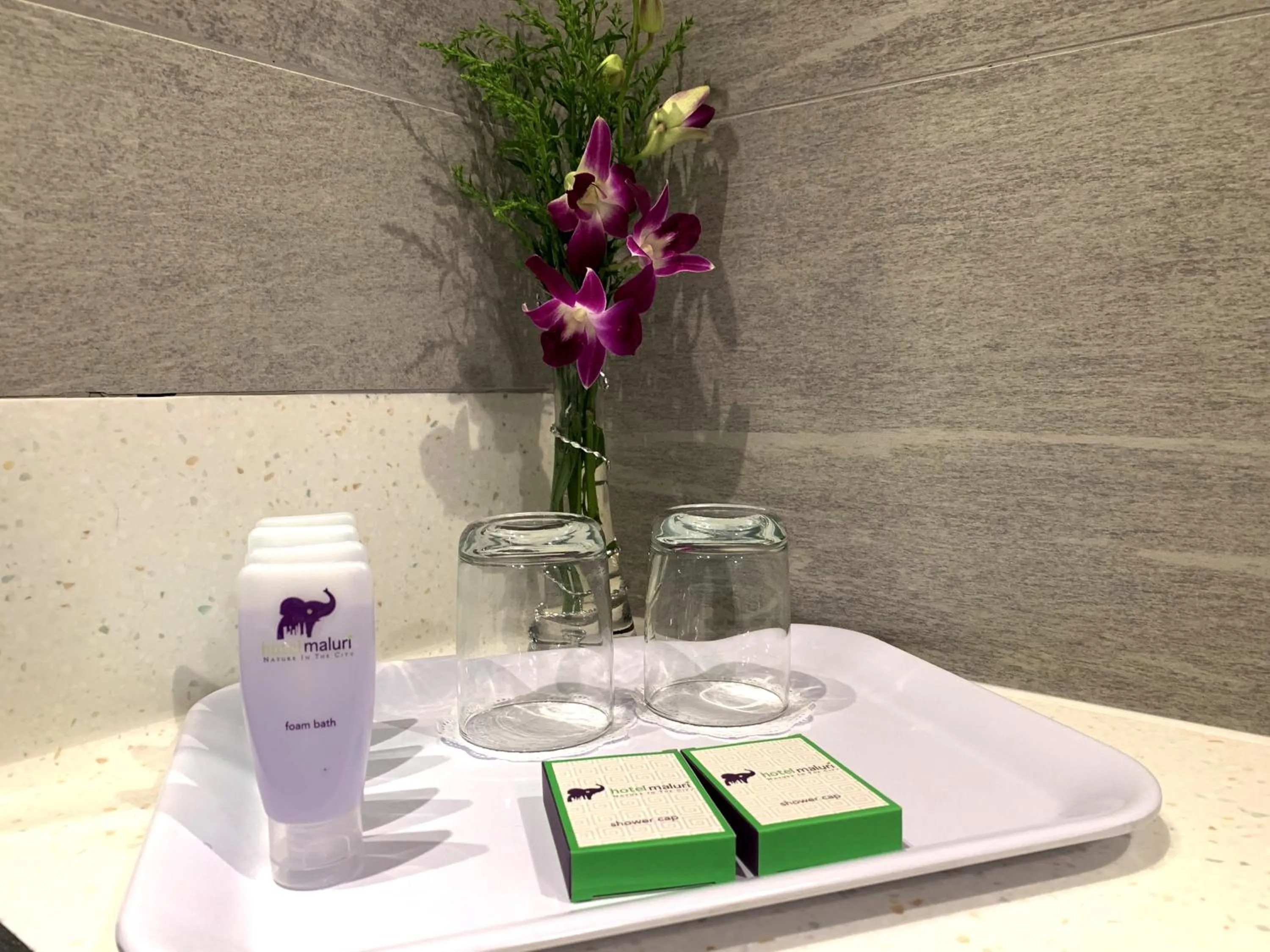 Bathroom in Hotel Maluri