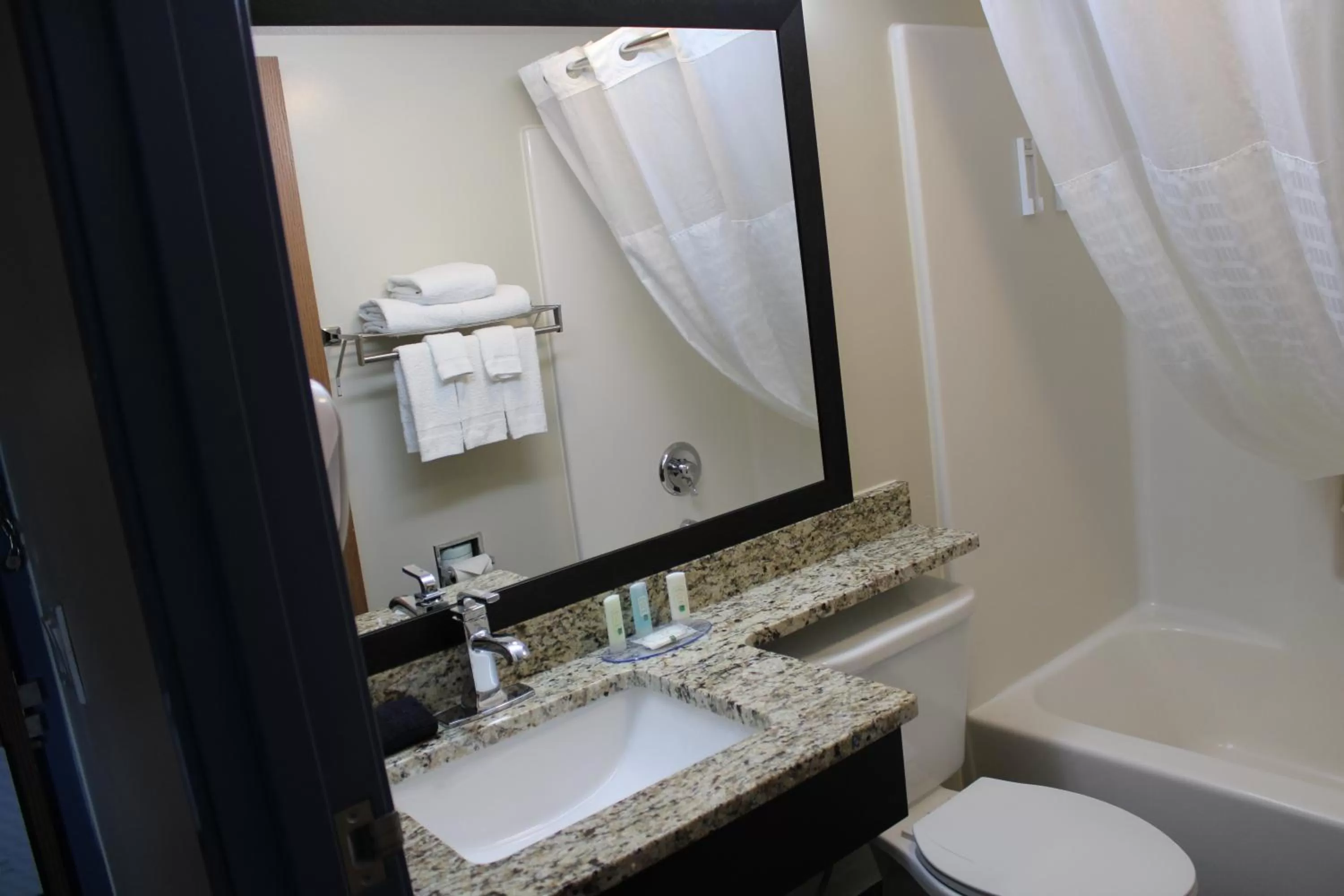 Toilet in Quality Inn Mount Pleasant