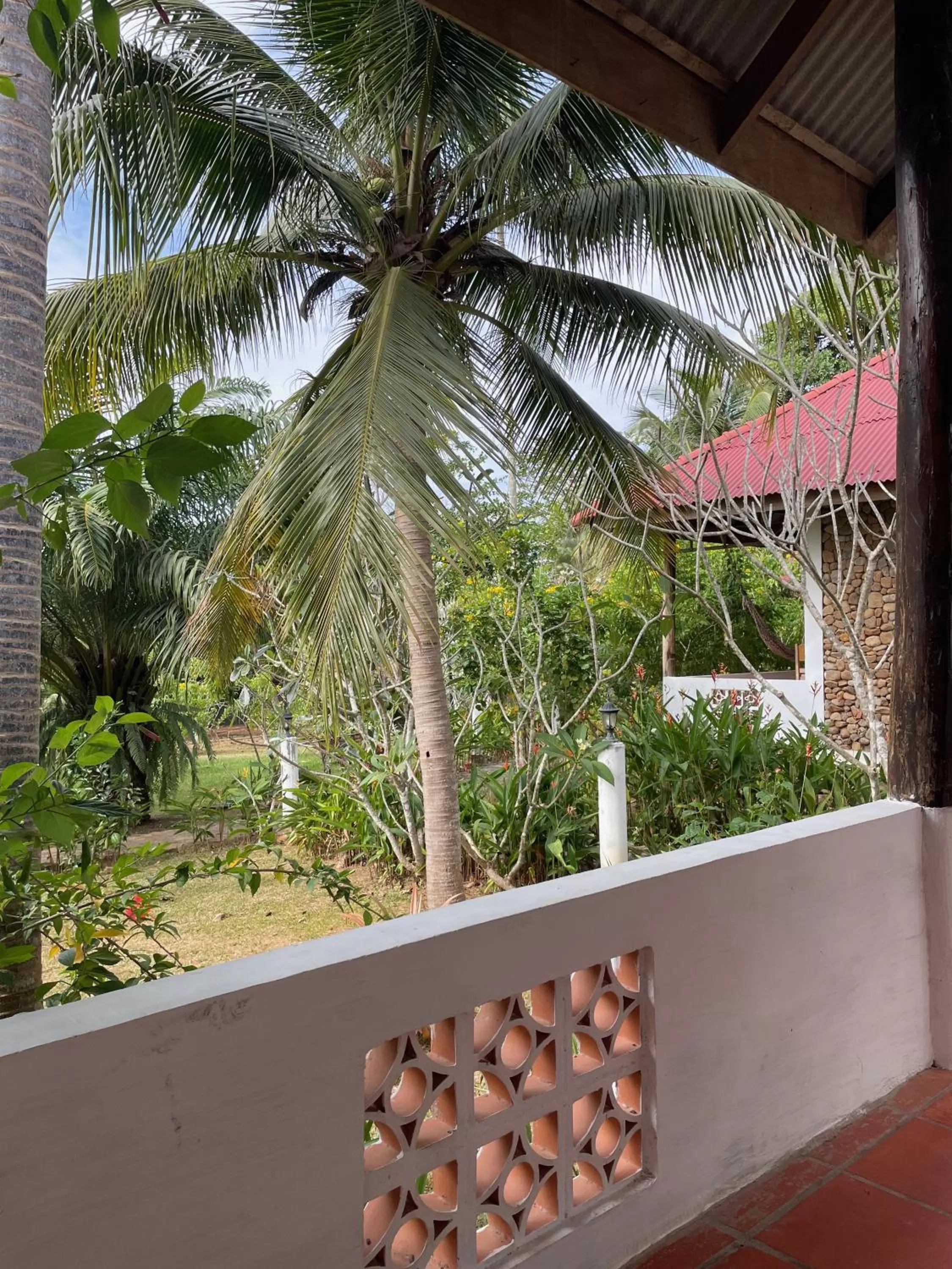 Garden in Kep Lodge