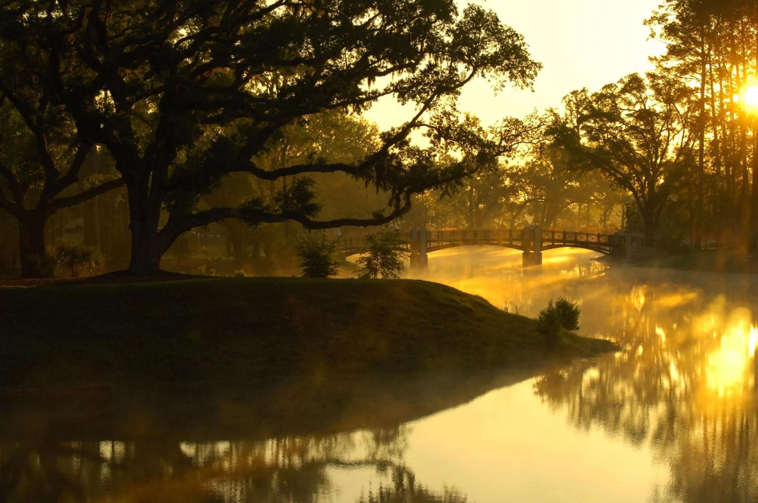 Property building in Montage Palmetto Bluff