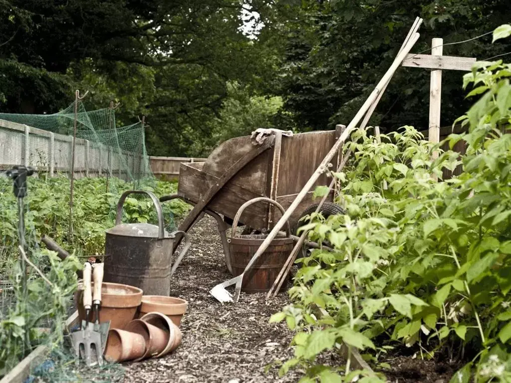 Activities in Marsham Arms Inn Activities in Marsham Arms Inn