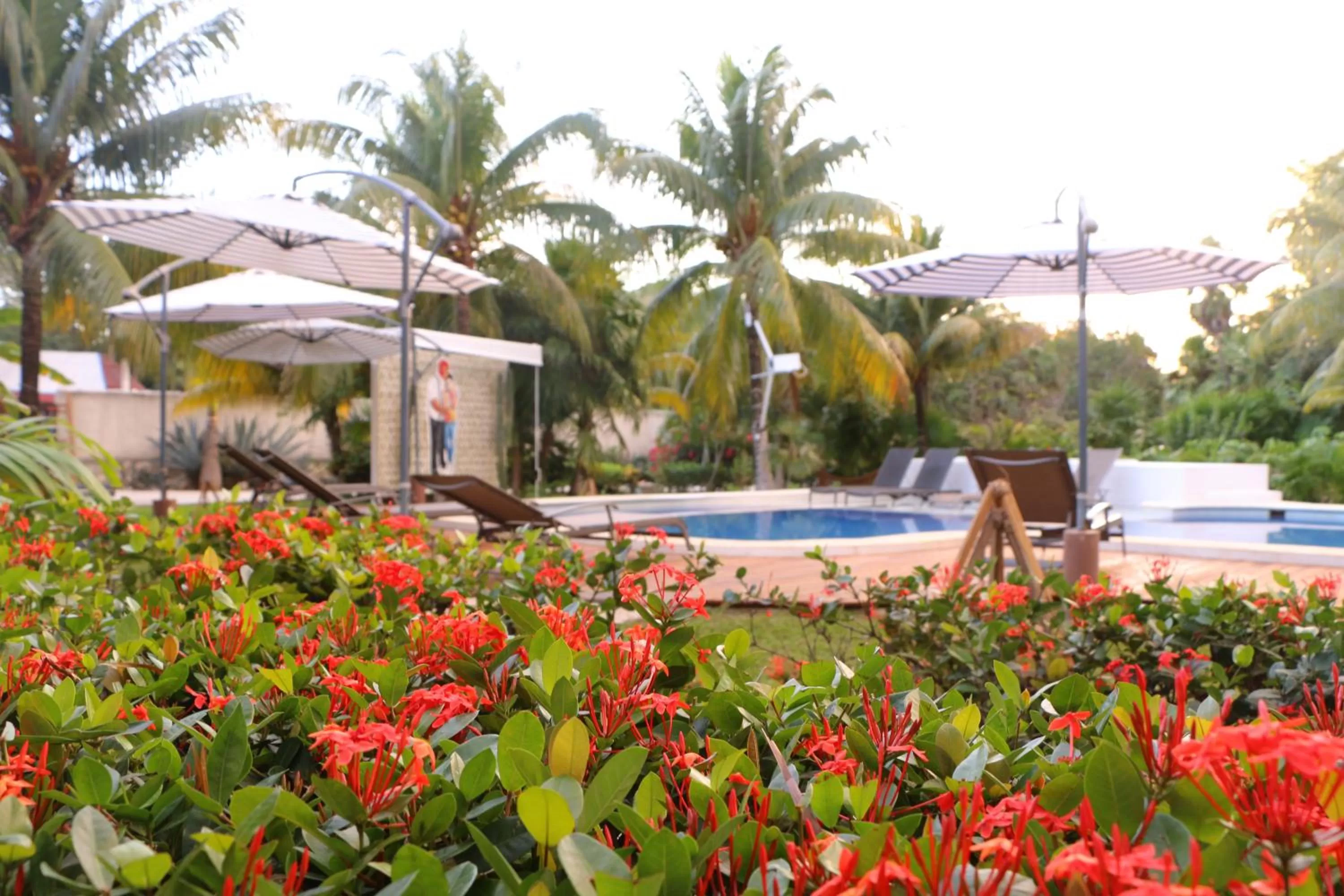 Garden, Swimming Pool in WishTulum