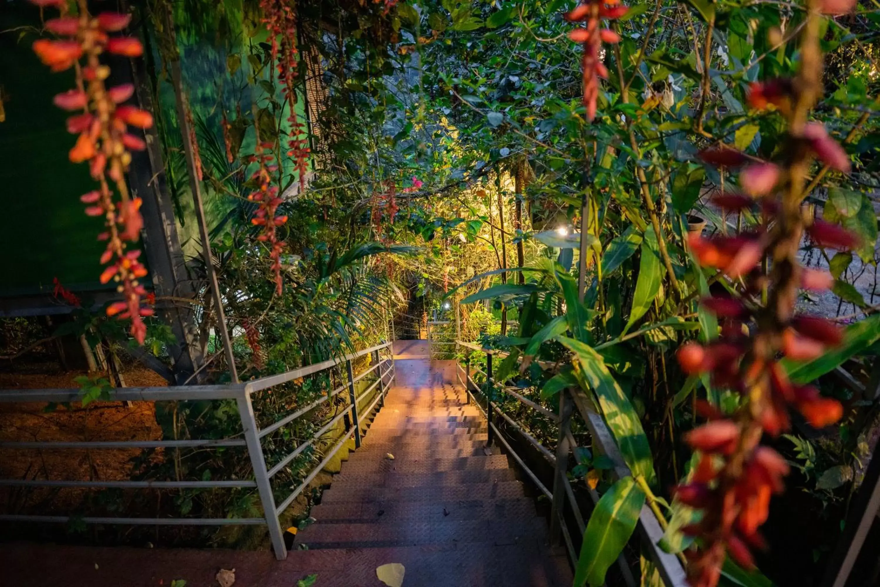 Garden view in Edens Munnar Garden view in Edens Munnar