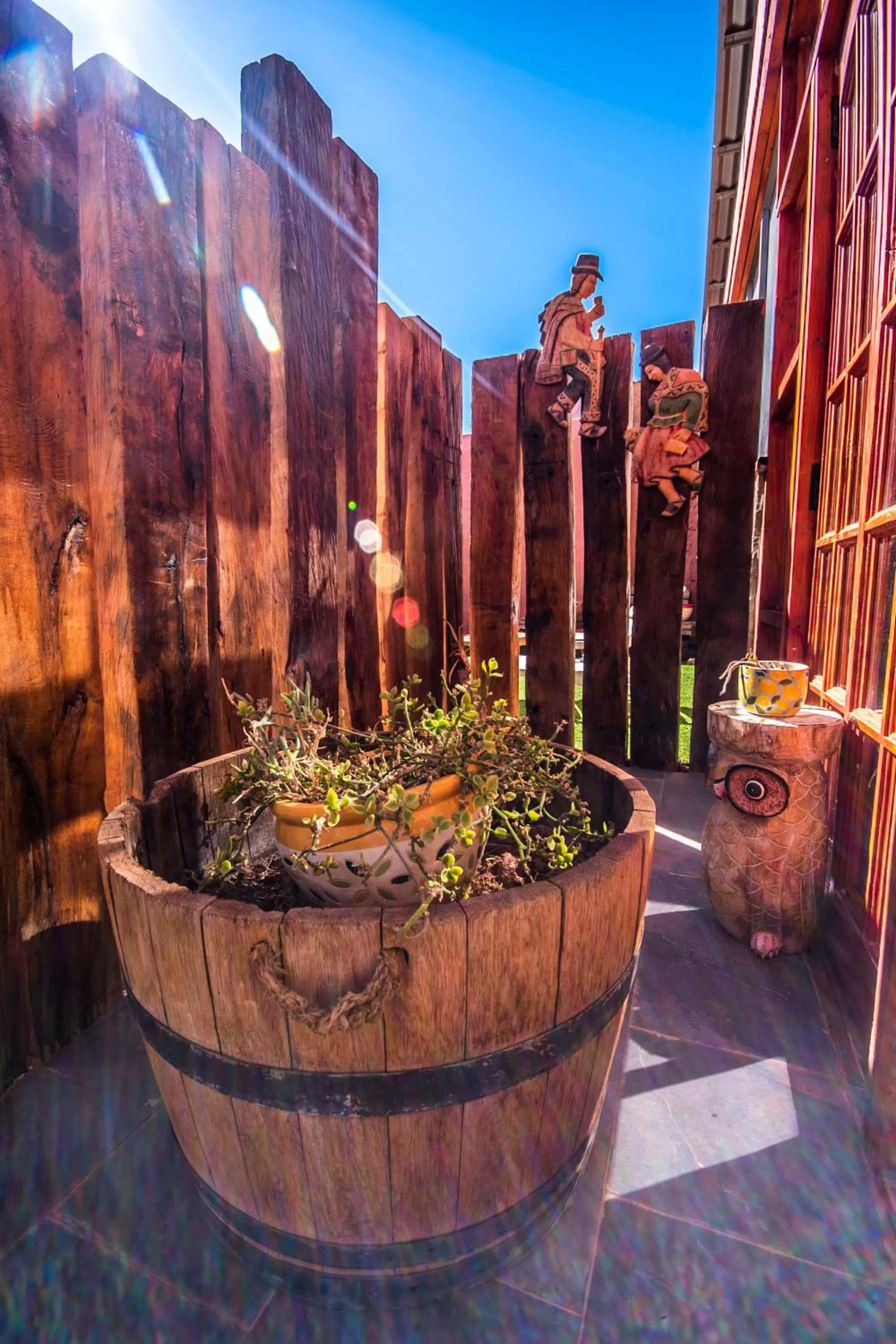 Garden in Hotel Casa Algarrobo