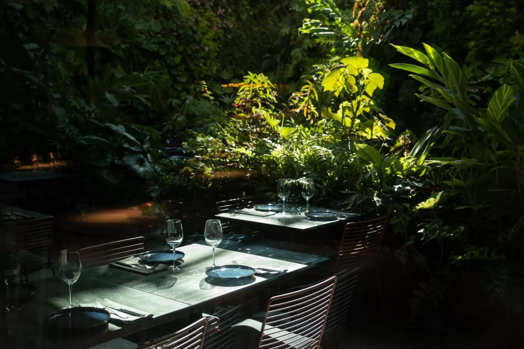 Garden in Hotel Hotel - Member of Design Hotels