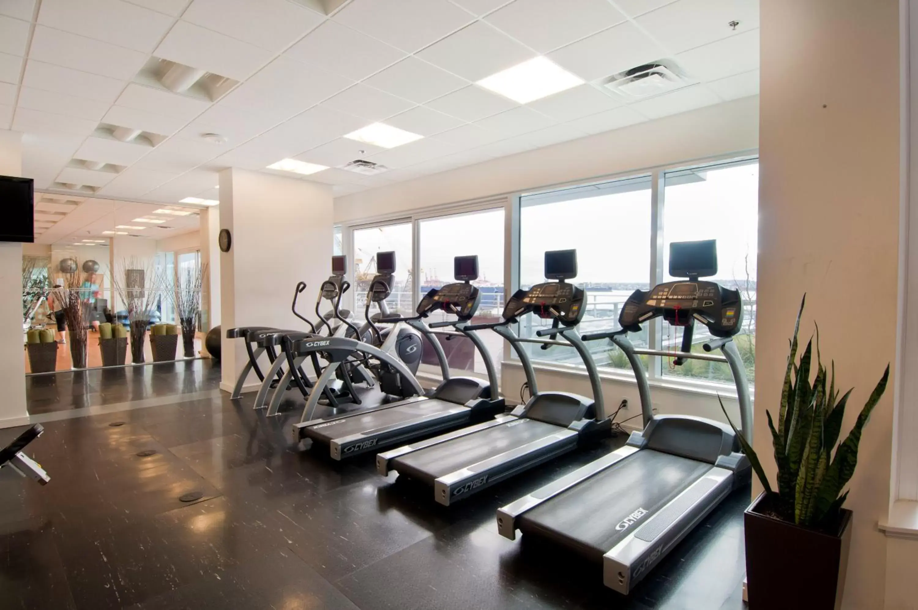 Fitness centre/facilities, Fitness Center/Facilities in Pinnacle Hotel at the Pier
