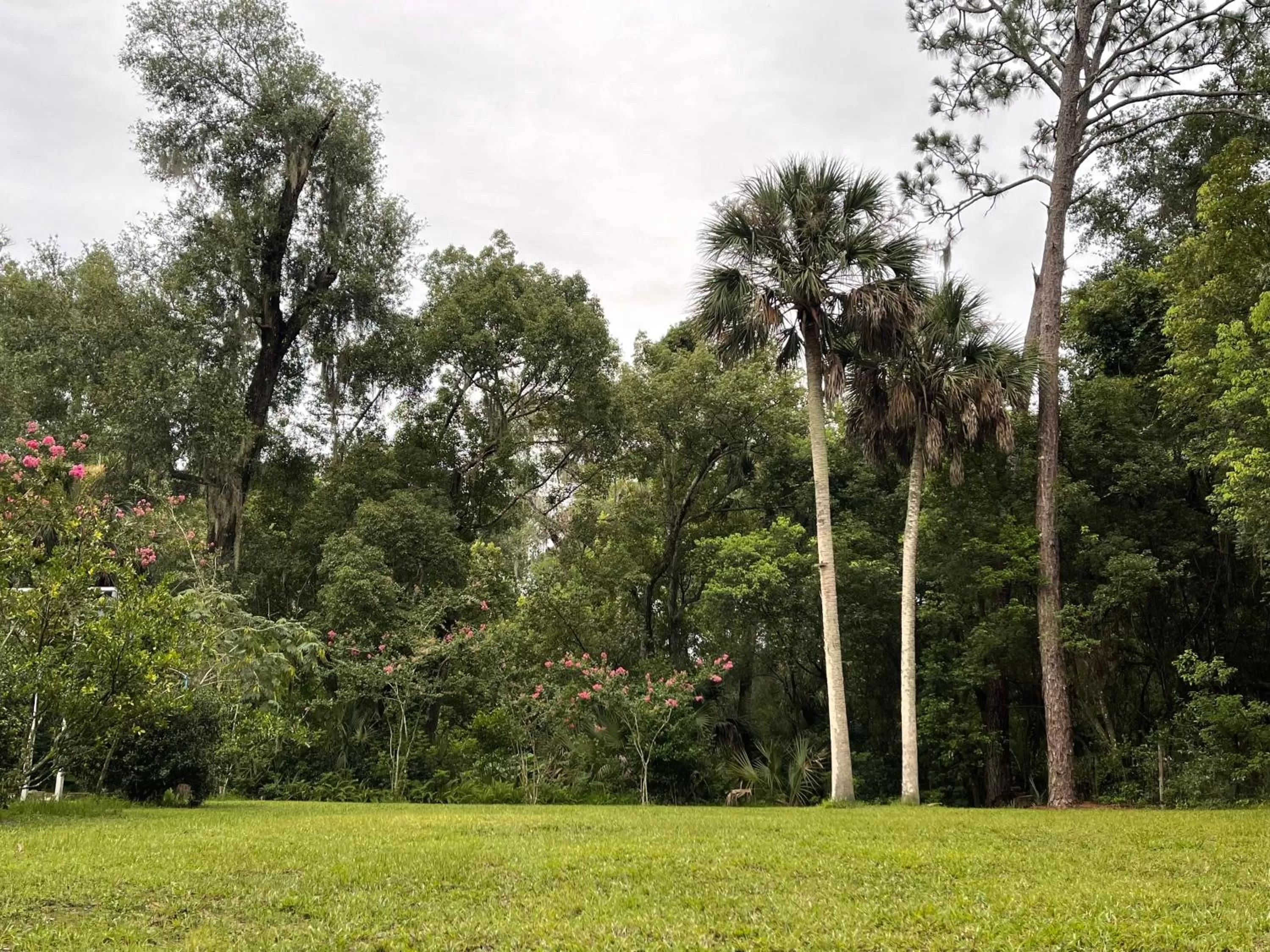 Natural landscape, Garden in The Ann Stevens House