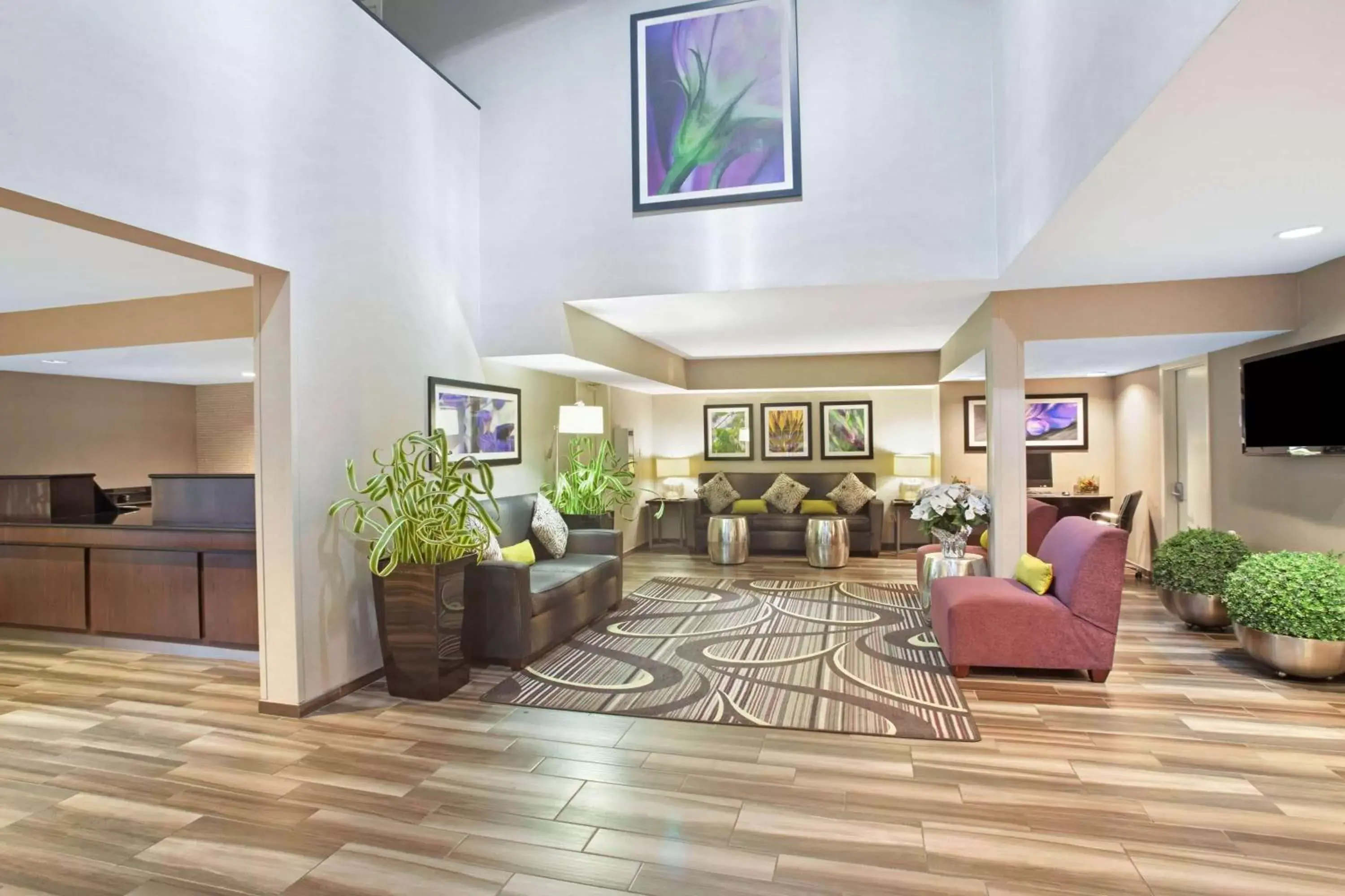 Lobby or reception, Lobby/Reception in La Quinta Inn by Wyndham San Marcos