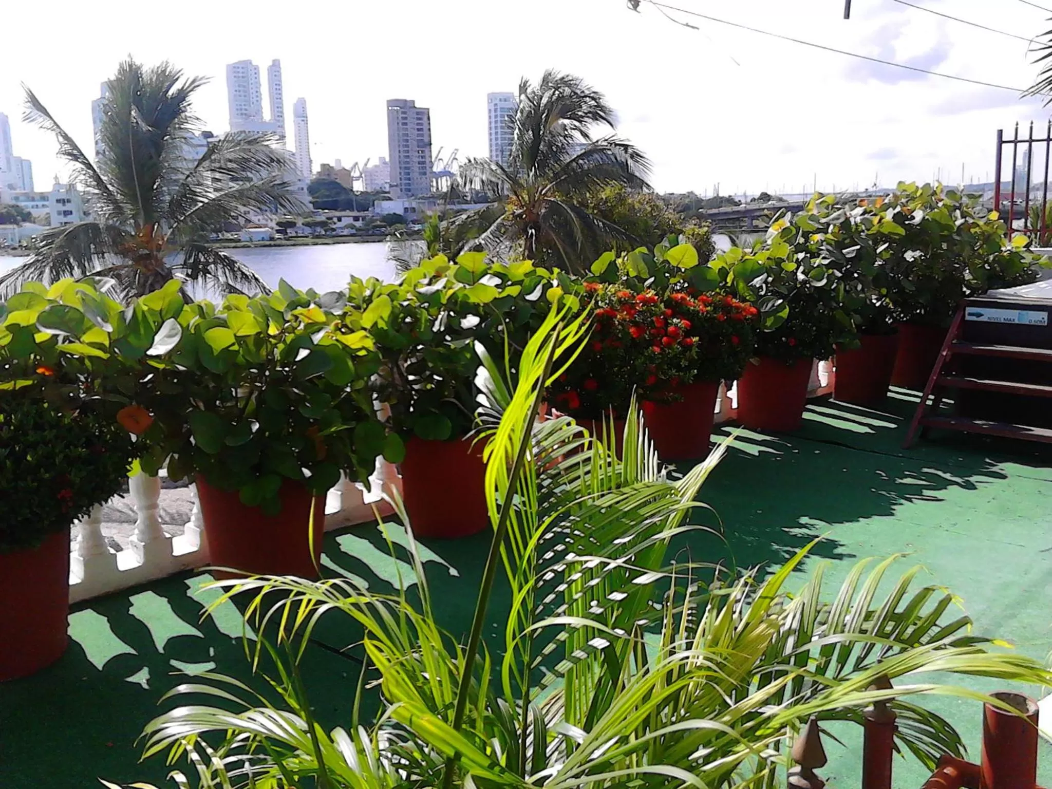 Balcony/Terrace in Patio de Getsemani