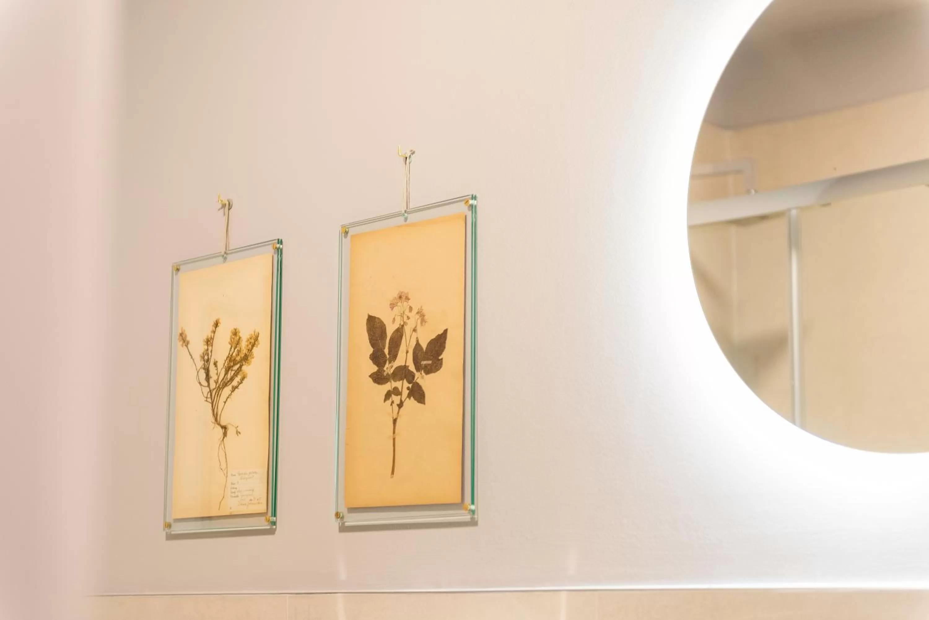 CASA Room Apartments Machiavelli 13