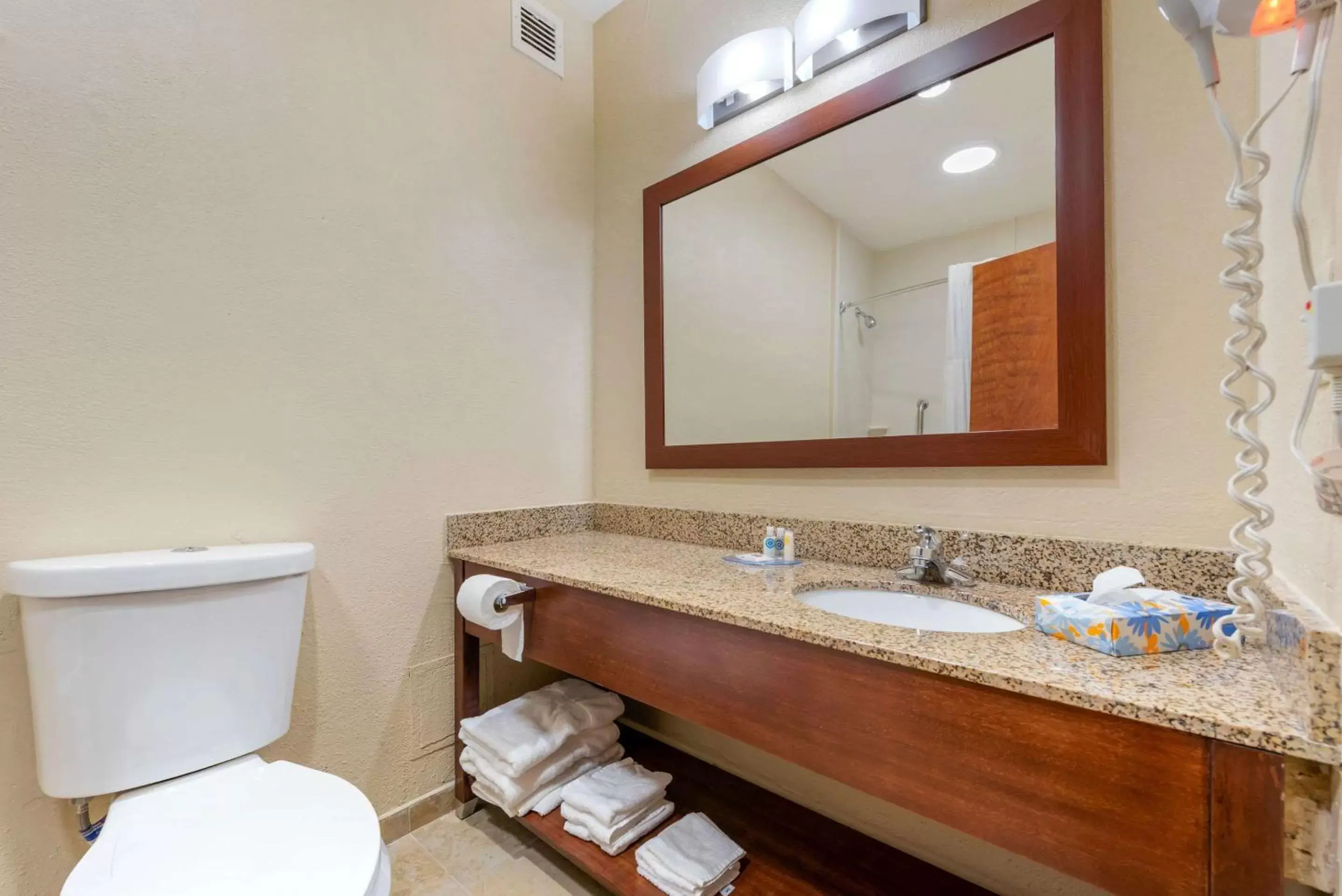 Toilet, Bathroom in Comfort Inn & Suites Michigan City