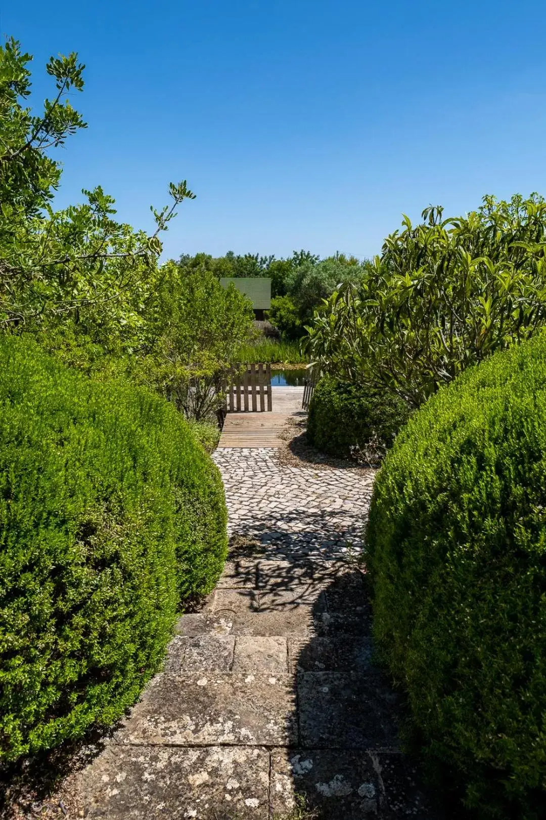 Natural landscape in Altanure - Casa Terra Ecological Boutique Hotel