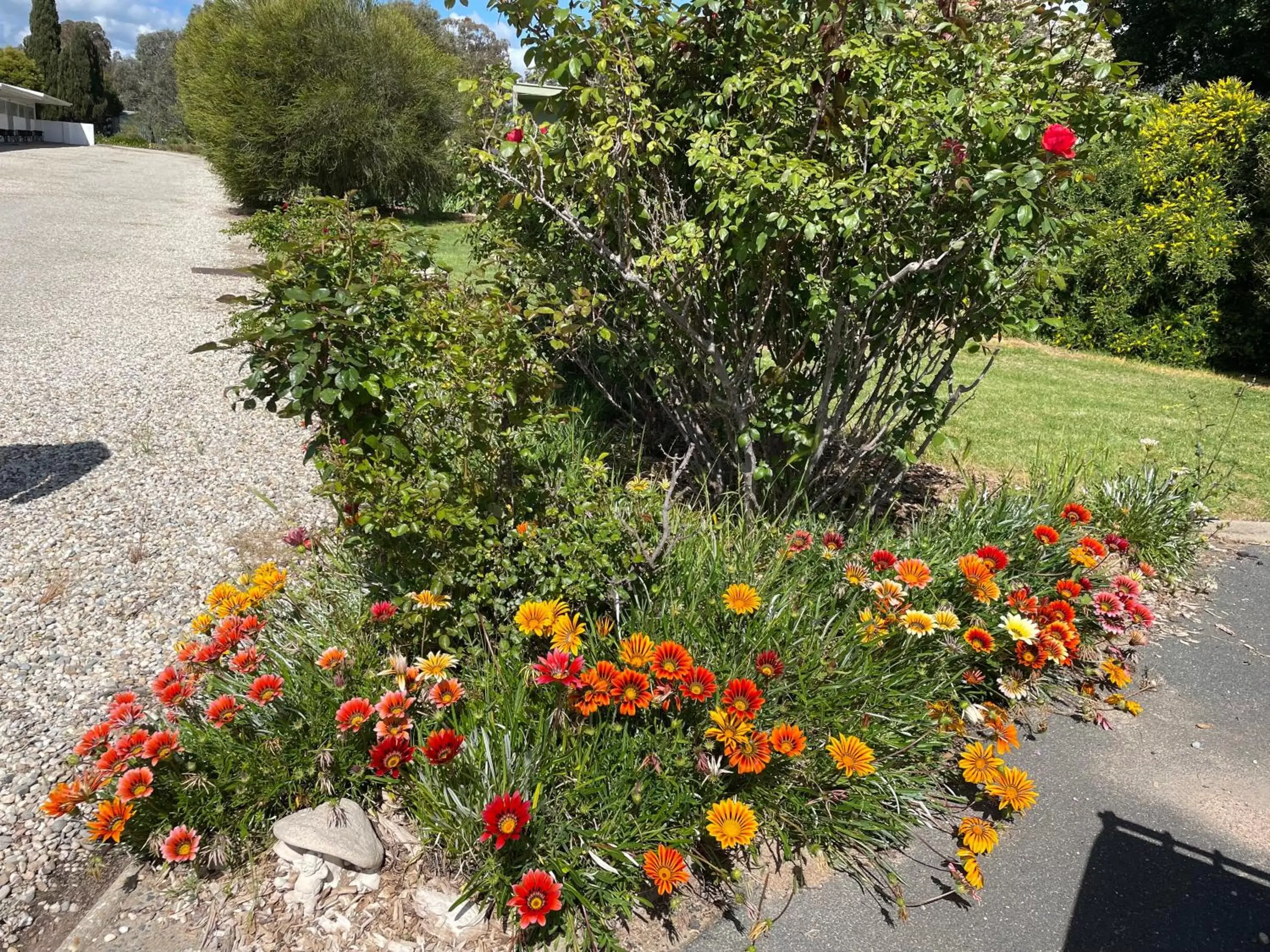 Garden in Byer Fountain Motor Inn