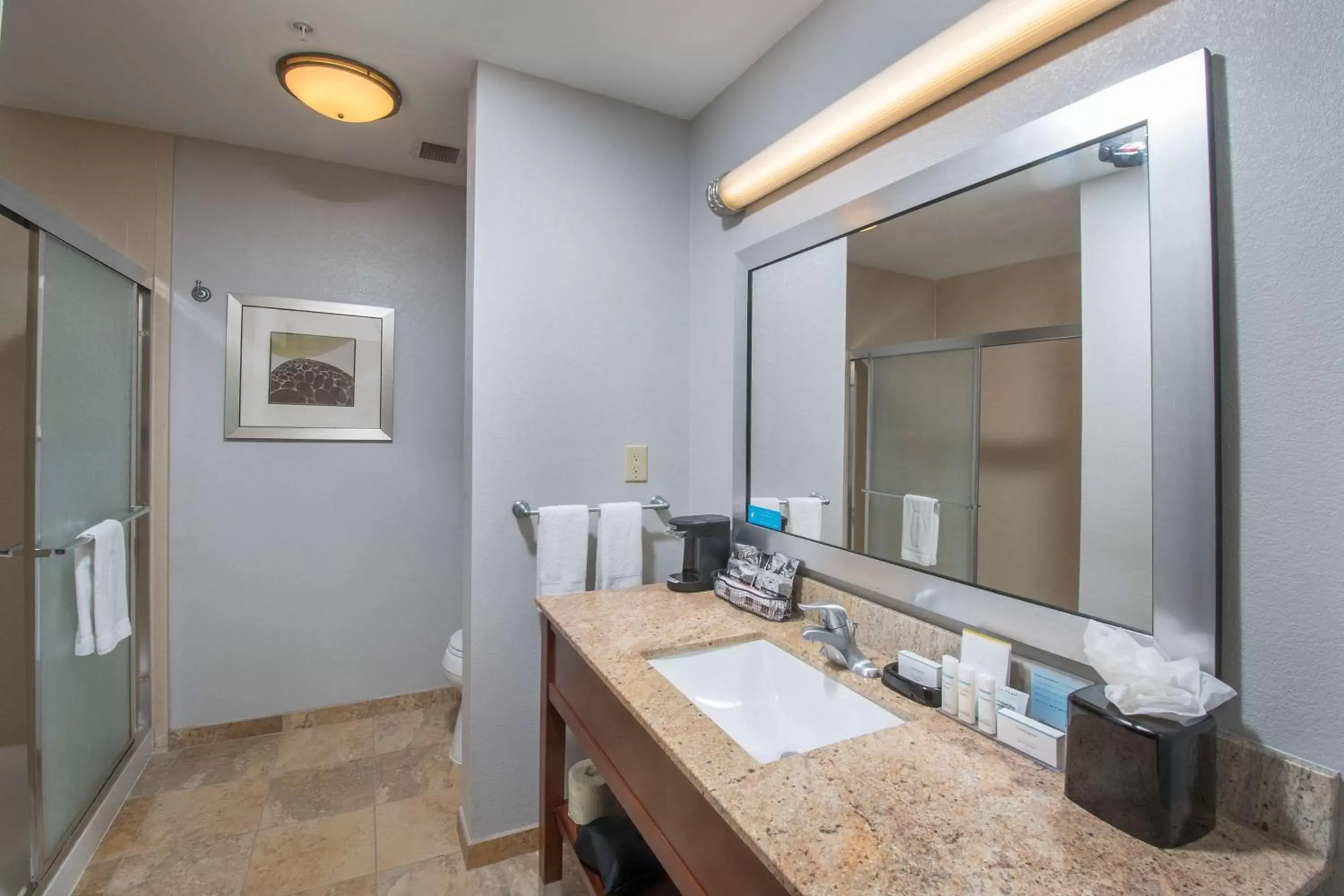 Bathroom in Hampton Inn & Suites Selma-San Antonio/Randolph AFB