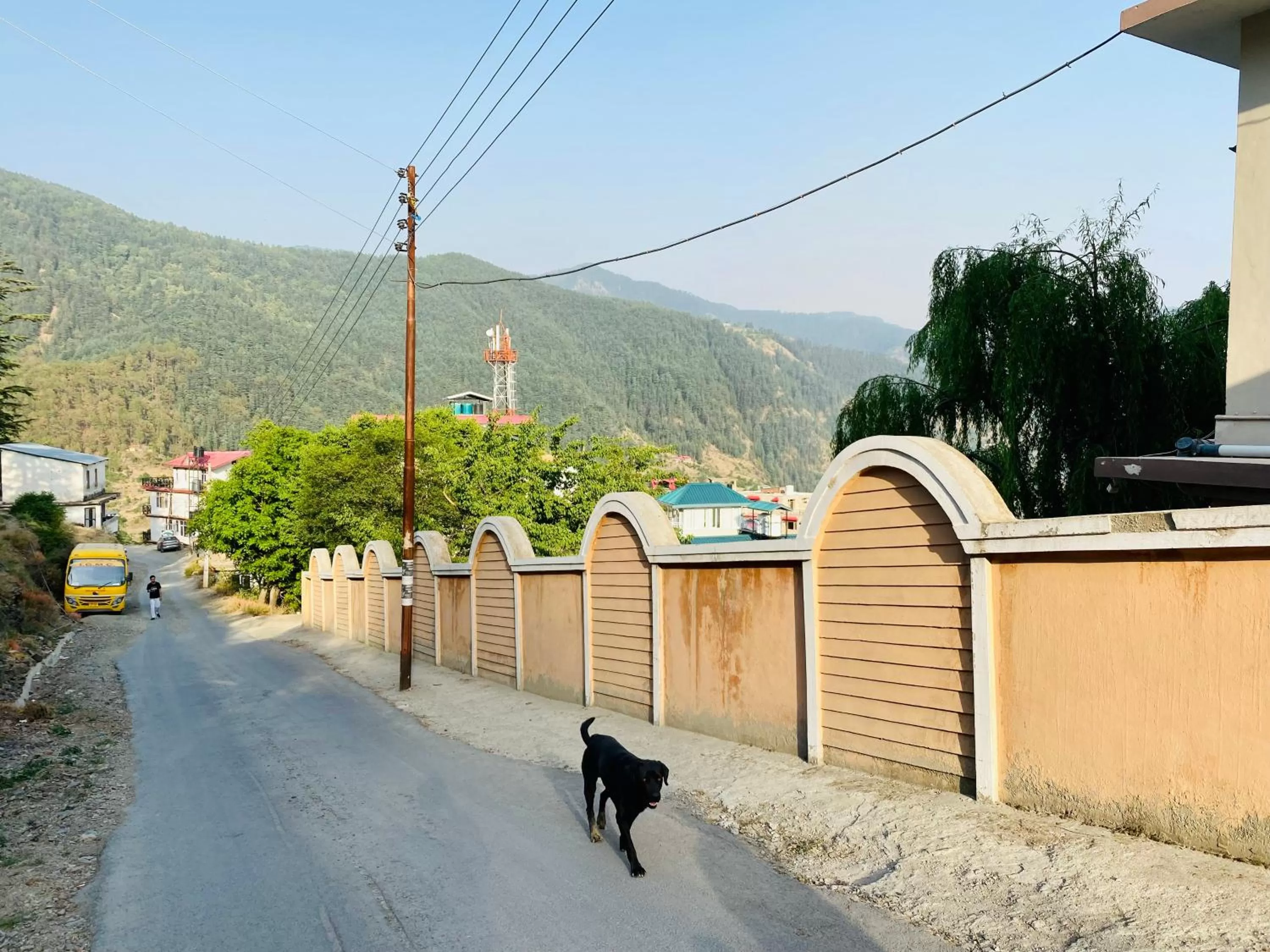 Mountain view in Sai Cottage Shimla
