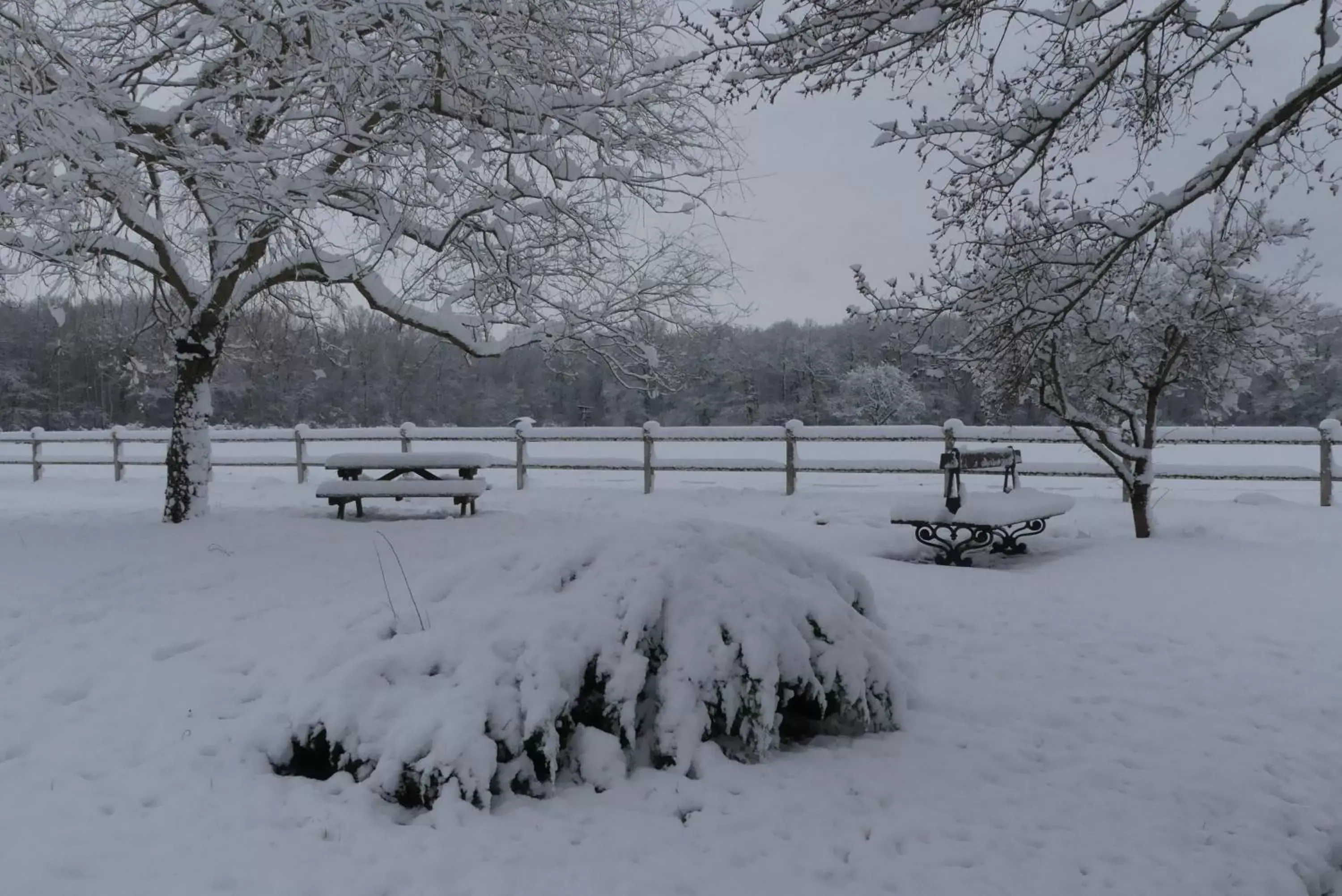 Natural landscape, Winter in Chambres et Table d'Hôtes Les Machetières